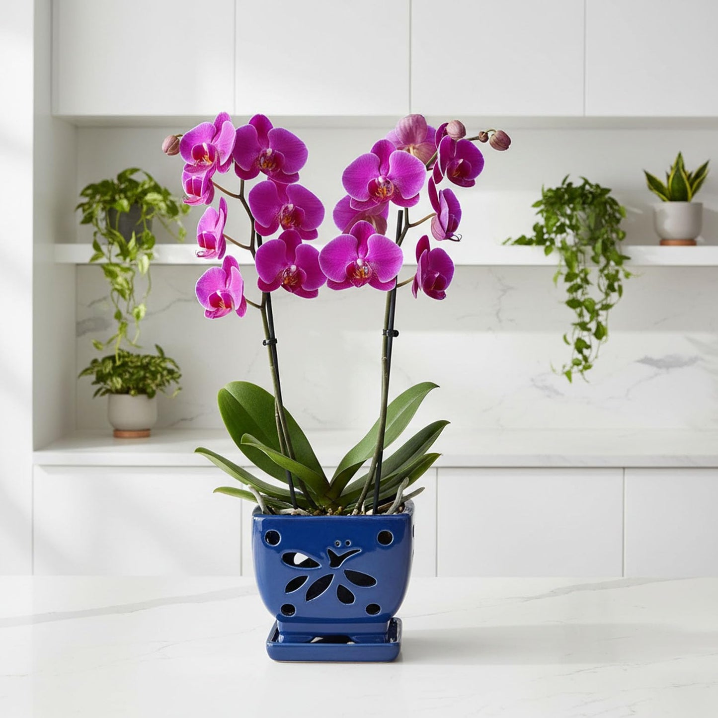 Grdthzey Orchid Pots with Holes Square Ceramic Orchid Planter Pots 5.7 inch (Blue)