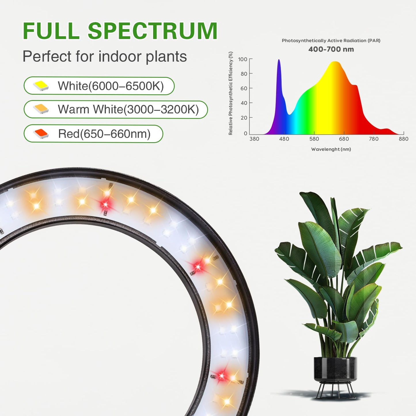 Grow Light with Stand for Indoor Plants, Dual Head Full Spectrum Floor Plant Light for Large Tall Plants, 16.5-68in Adjustable Height, 3/9/12H Timer, Dimmable, Modern Ring Grow Lamp for Home Décor