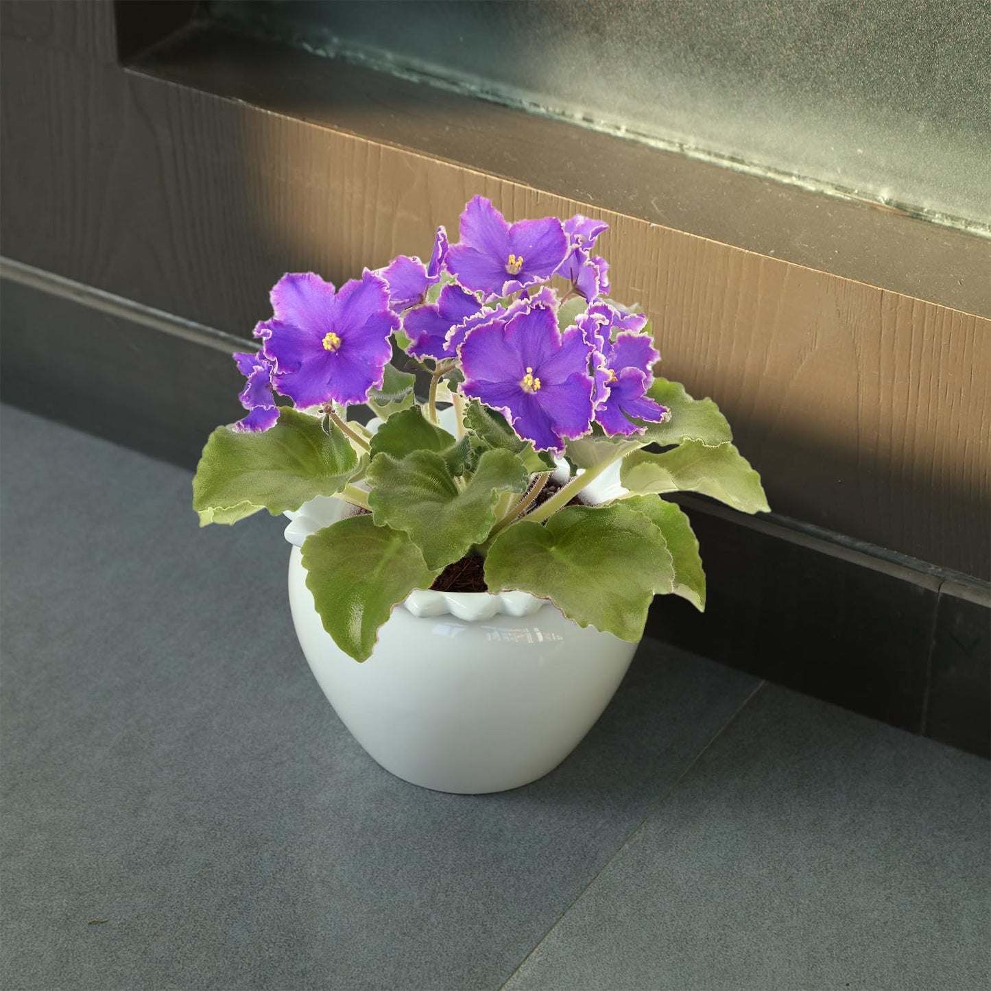 Lovely Ran Self Watering Plant Pot African Violet Pots Ceramic 6.5 * 4.6 * 4 inch White for Indoor Flowers and Plants Simple Plant Self Watering Pot Modern Decor Pots Efficient Absorption Water