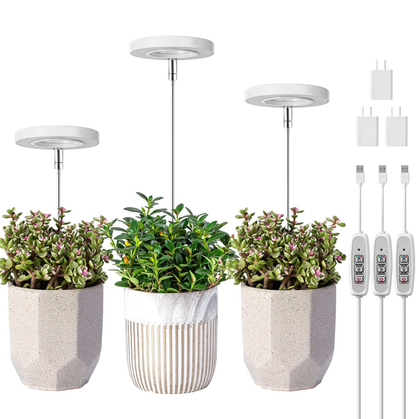 LORDEM Grow Light, Full Spectrum LED Plant Light for Indoor Plants, Height Adjustable Growing Lamp with Auto On/Off Timer 4/8/12H, 4 Dimmable Brightness, Ideal Small Pack of 3, Warm White