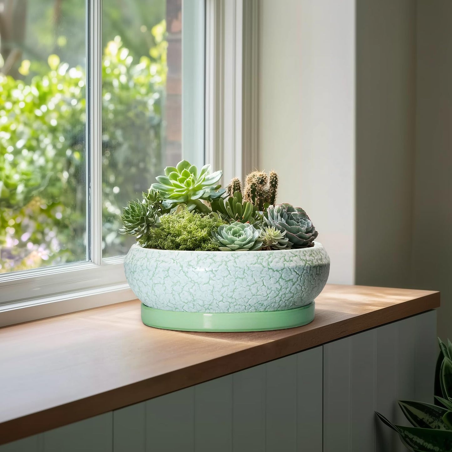 EPFamily Bonsai Pots - 13 Inch Ceramic Succulent Pots for Indoor Outdoor, Large Shallow Planter with Drainage Hole and Saucer, Round Flower Succulent Planter, Patio Decor, Gifts for Women, Green