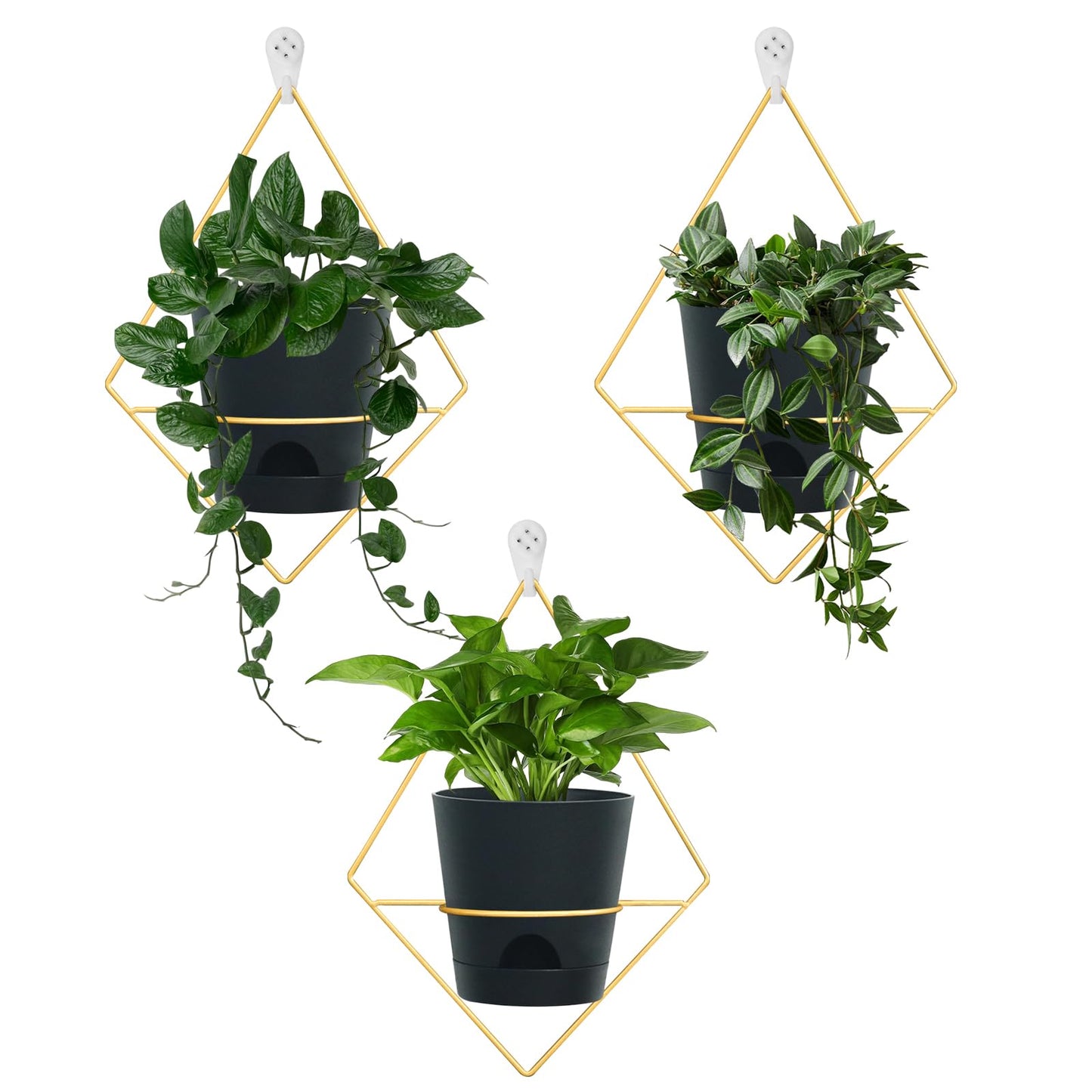 Koalaime 3 Sets Wall Planters for Indoor Plants Geometric Hanging Planters for Indoor Plants - Self-Watering Flower Pots with Black Metal Holder, Mounted Succulent Planter, 5" Black Plant Pot
