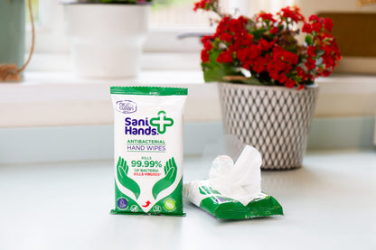 Sani Hands - Anti-bacterial Hand Wipes - Dermatologically Tested, Biodegradable Wet Wipes - 10x12 Wipes (120 Wipes)