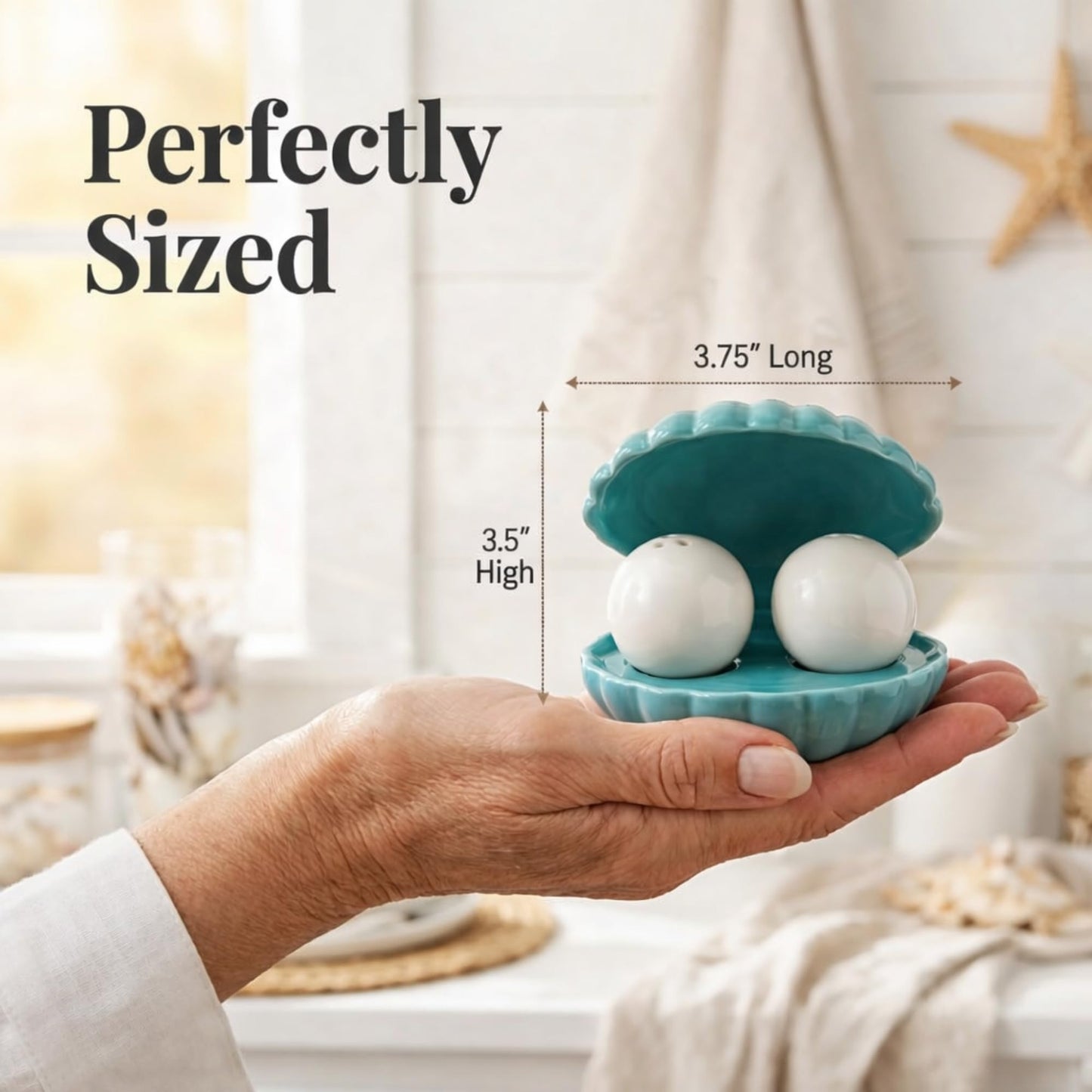 The Bridge Collection Novelty Oyster Salt and Pepper Shaker 3 Piece Set