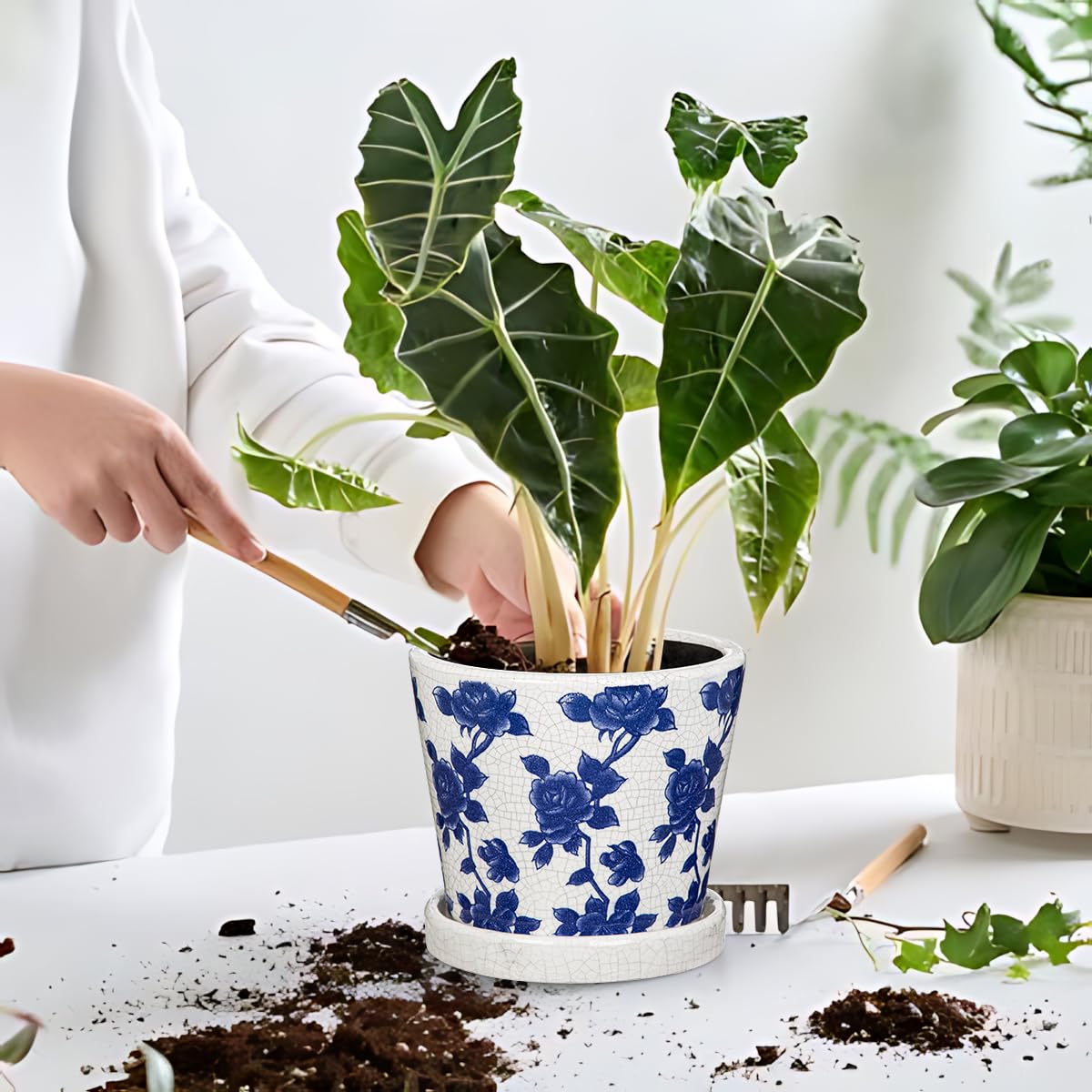 Ceramic Pot for Indoor Plants - 5.5 inch Flower Pot for Plants with Drainage Holes and Saucer Ice Crack Diamond Rose Flower Pattern Ceramic Planter for Outdoor Indoor Herb Snake Plant (Blue & White)