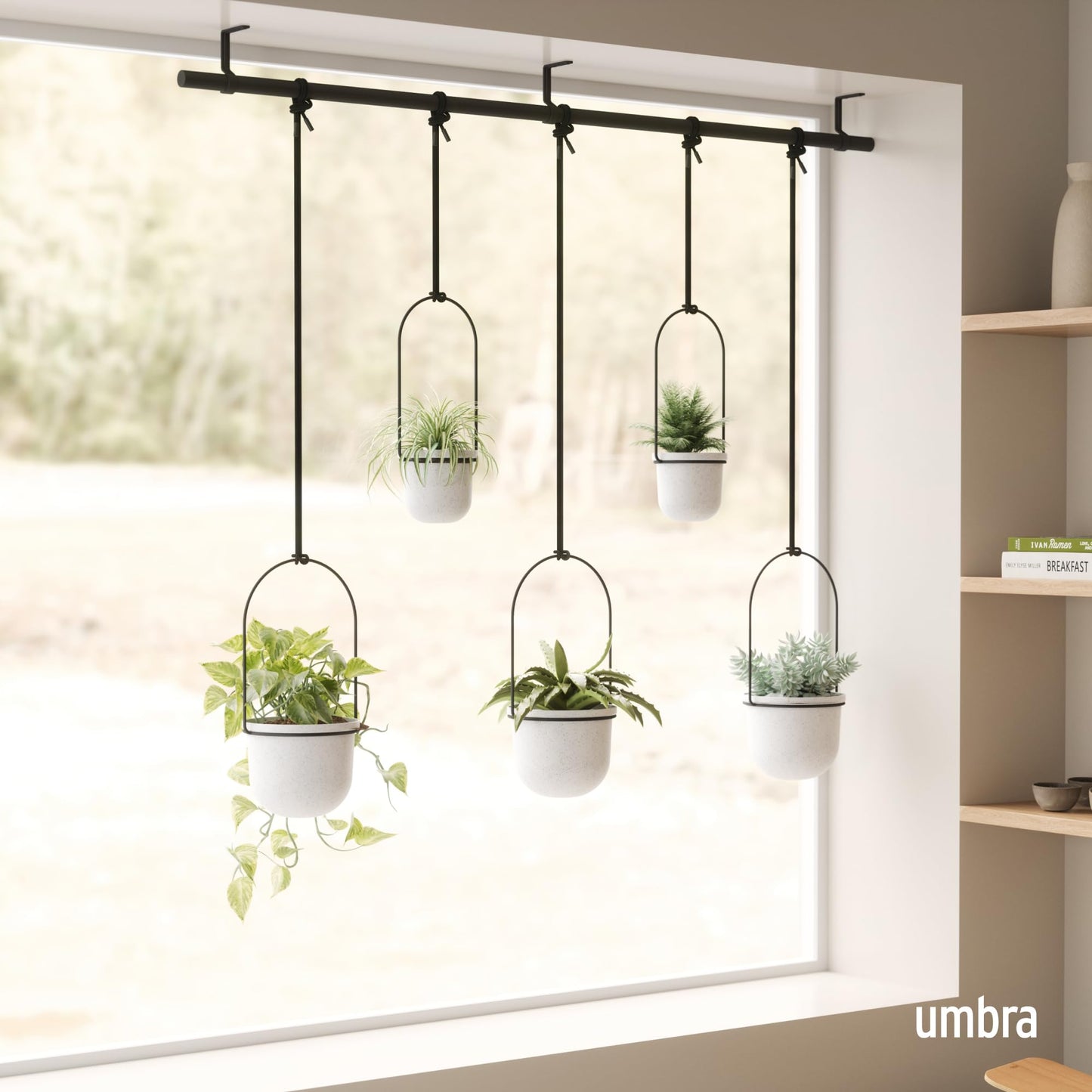 Umbra Triflora Hanging Planter for Window, Indoor Herb Garden, Set of 5, White/Black