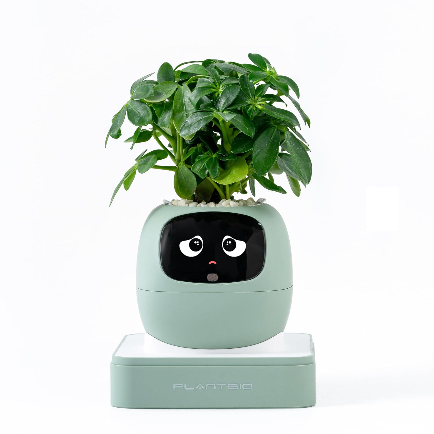 Gen 2 Ivy Intelligent Flower Pot for Home Decoration Plants Companion Neat Desk Setup Gift Smart Pet Planter Robot Guidance on Plant Care with Emojis