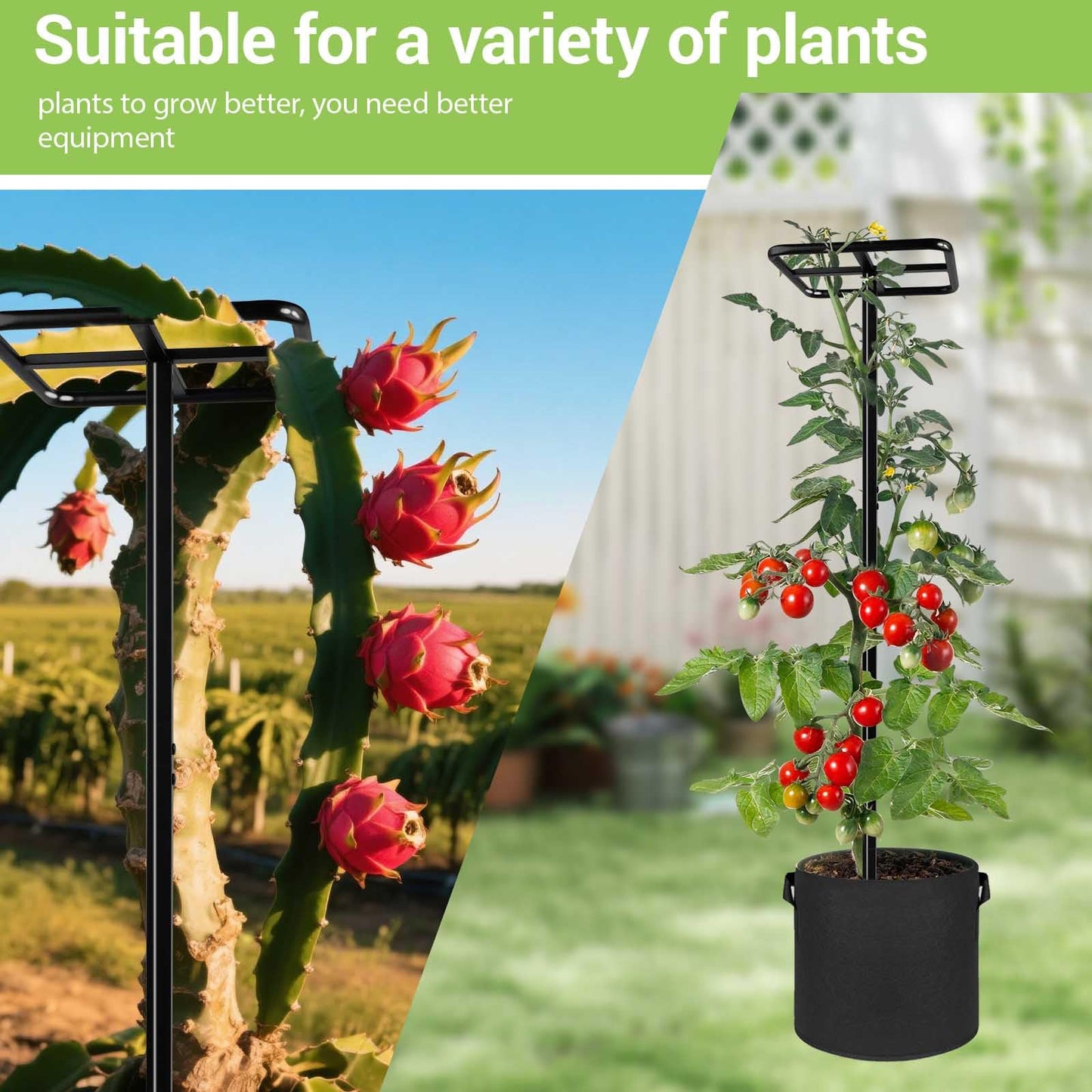 2 Pcs Heavy Duty Dragon Fruit Trellis, Adjustable Plant Climbing Support with 4 Non-Woven Planting Pots, Raspberry Trellis for Garden, Vertical Farming Tower for Dragon Fruit, Avocados, Vining Plants