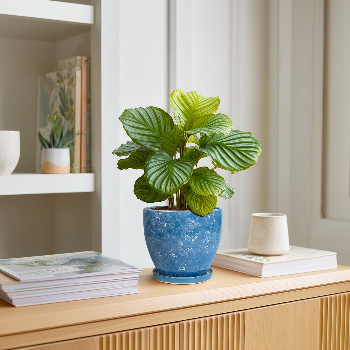 EPFamily 6 Inch Ceramic Plant Pot - Ceramic Planters with Drainage Hole and Saucer, Round Decorative Planter, Modern Planters for Indoor Outdoor Plants, Desk Office Decor, Housewarming Gifts, Blue