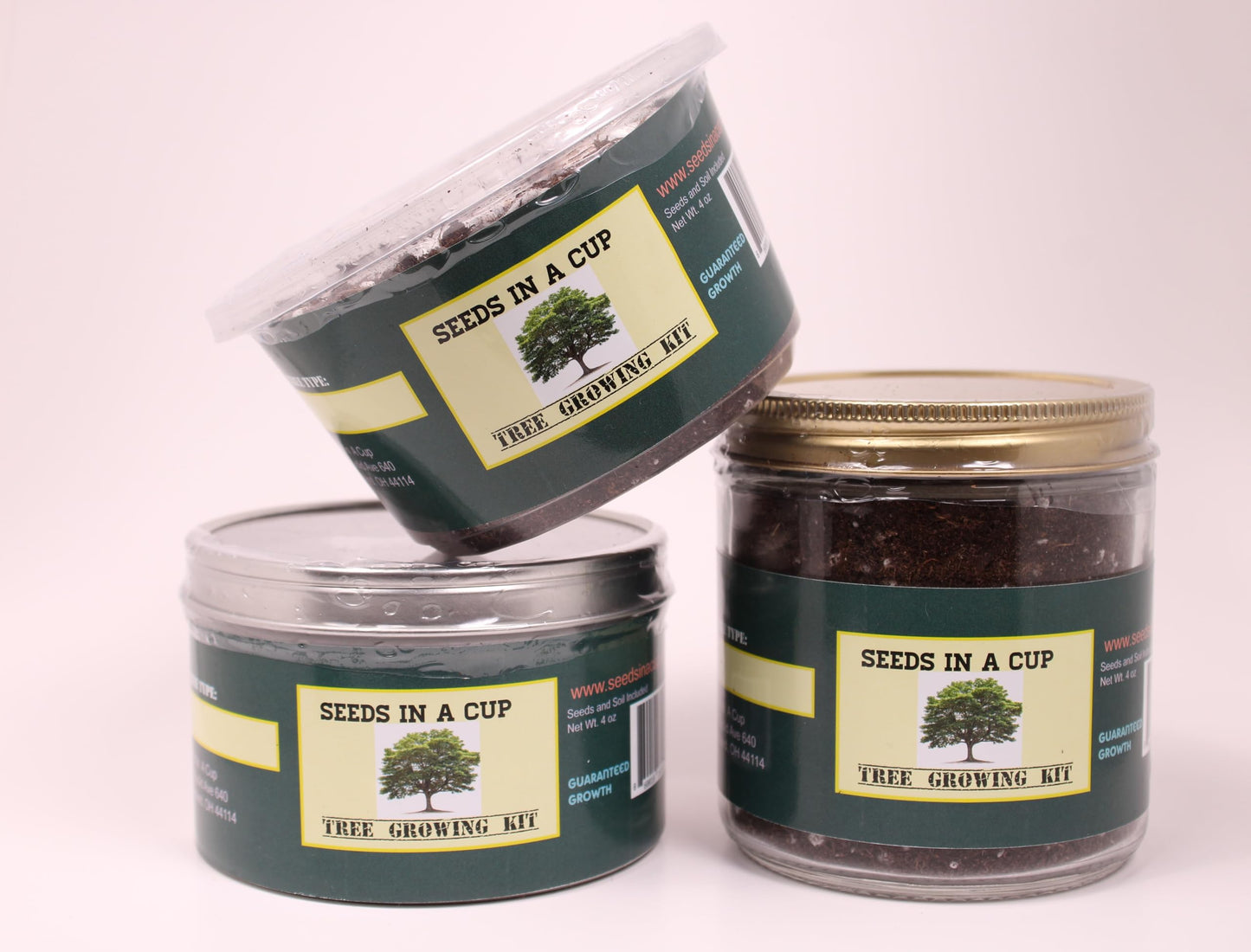 Seeds In A Cup: Plum Tree Grow Kit | Easy to use | Educational | Great Gift Idea | Help Planet | (Plastic Planter)