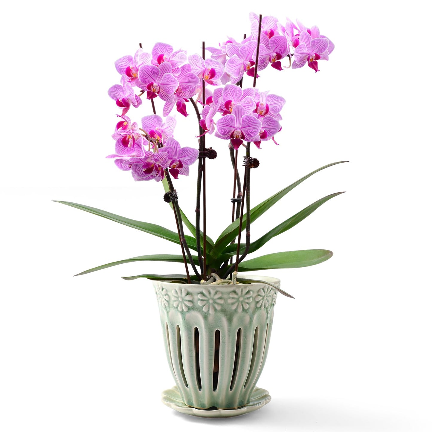 SUADEN 5" Ceramic Orchid Pots with Holes | Crackle Glazed Orchid Pot with Drainage and Separate Saucer | Ideal Plant Pot for Repotting Orchids and Other Flowers(Green)