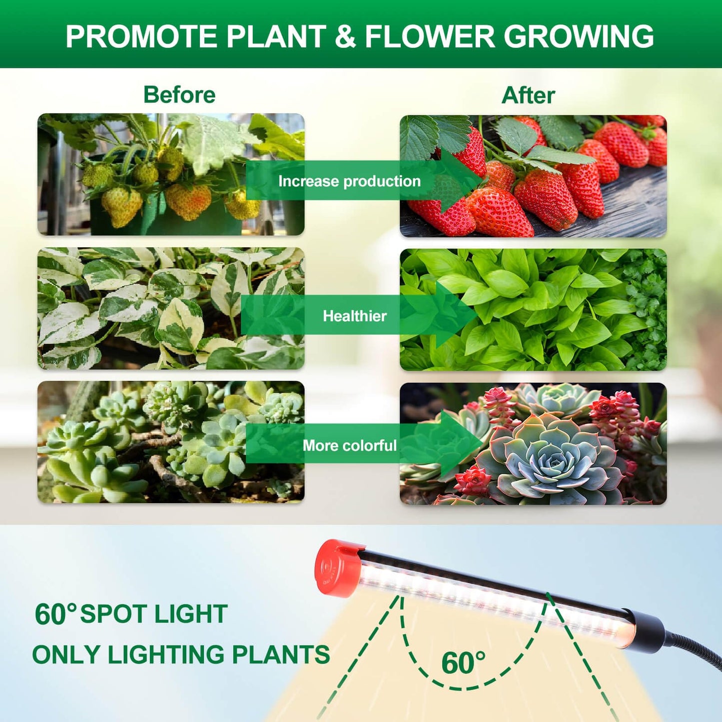 FRGROW Clip Grow Lights for Indoor Plants, Seed Starting, Bonsai, 4/8/12/16/20H Timer, Full Spectrum Plant Growing Lamps, 27 Watt Power Draw, NO Need Adapter, 360° Gooseneck