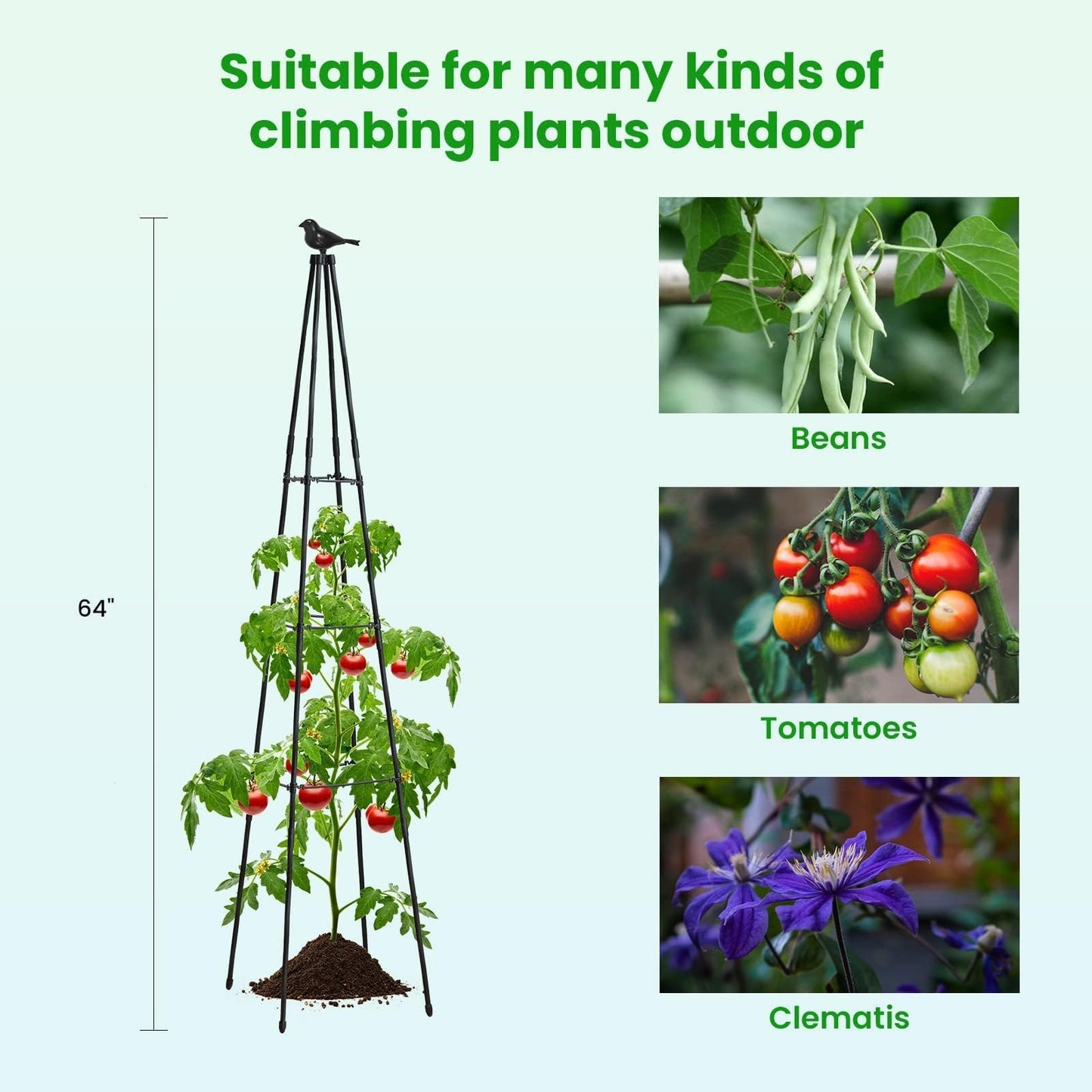 FOLLOOK Cucumber Trellis, 67" Tall Obelisk Garden Trellis for Climbing Plants Outdoor Plastic-Coated Metal Support for Flower Vine Vegetable Tomato Cage Cucumebr Trellis Raised Bed, Black, 2 Pack