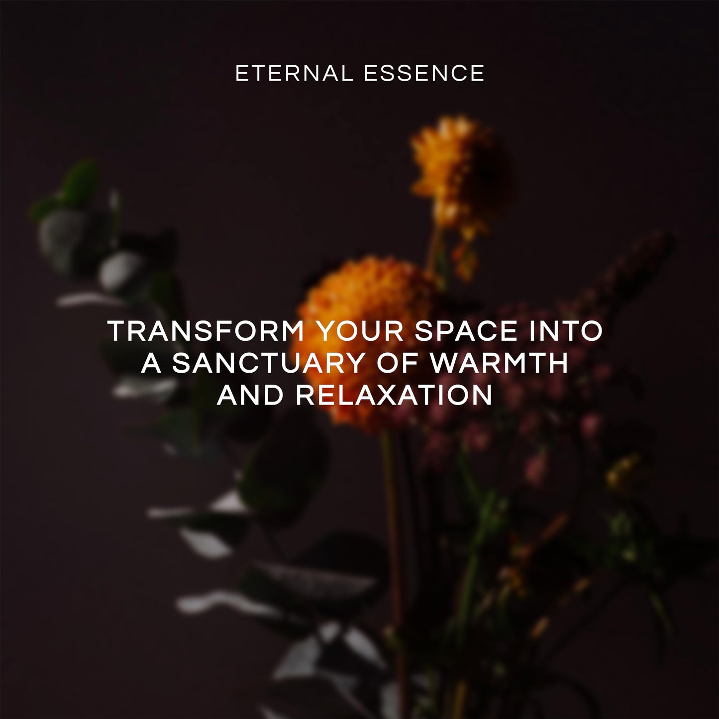 Eternal Essence Oils Woodsy Premium Fragrance Oils Set - Including Pine, Cedar Wood, Sandalwood, Bamboo & Teak, Woodland Bay and Frankincense - Rustic and Woody Scented Oils (6 Pack)