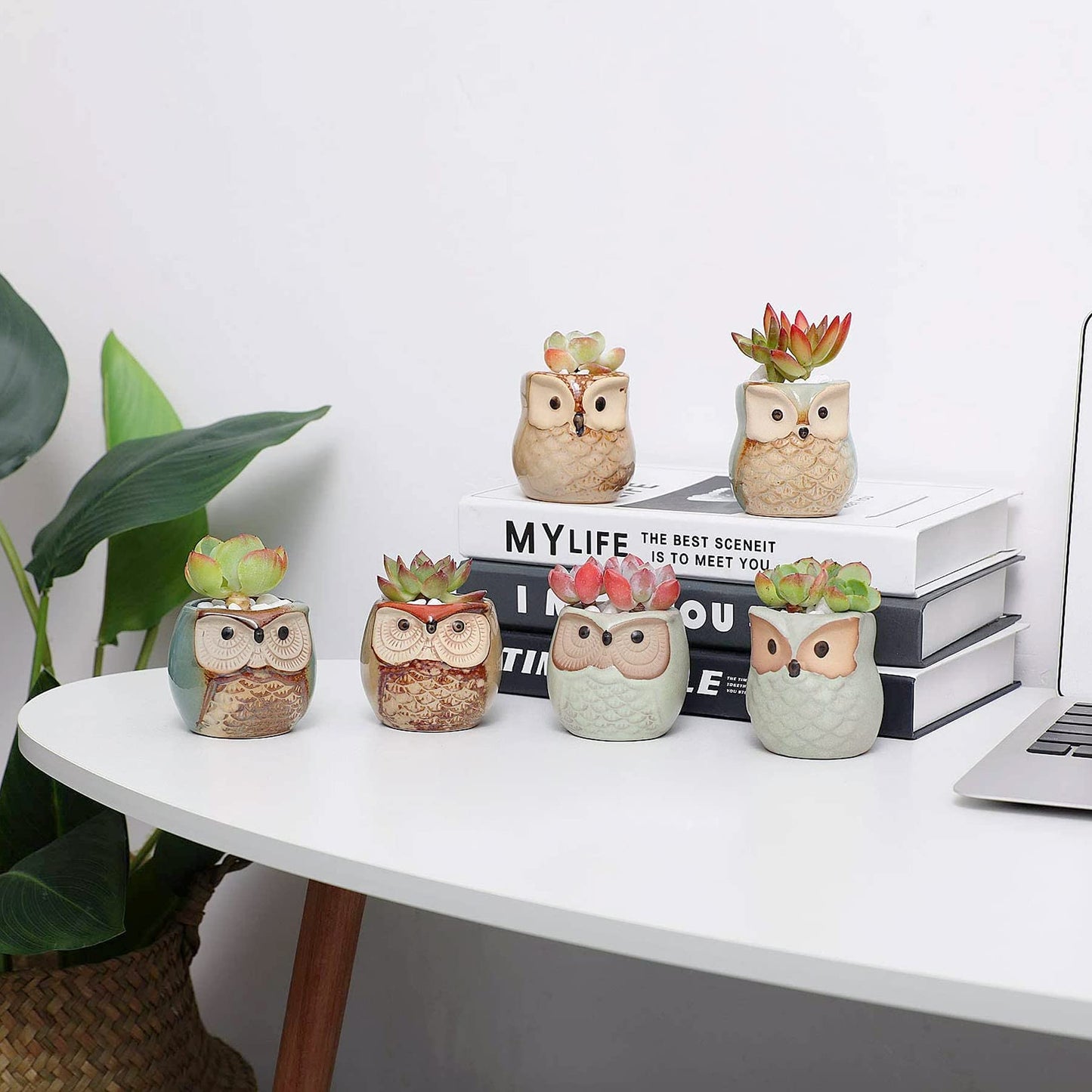 T4U 2.5 Inch Owl Ceramic Succulent Planter Pots with Drainage Hole Set of 6, Mini Cute Flower Pots Tiny Plant Holder Container Best for Home Office Garden Decoration Owl Gift Ideas