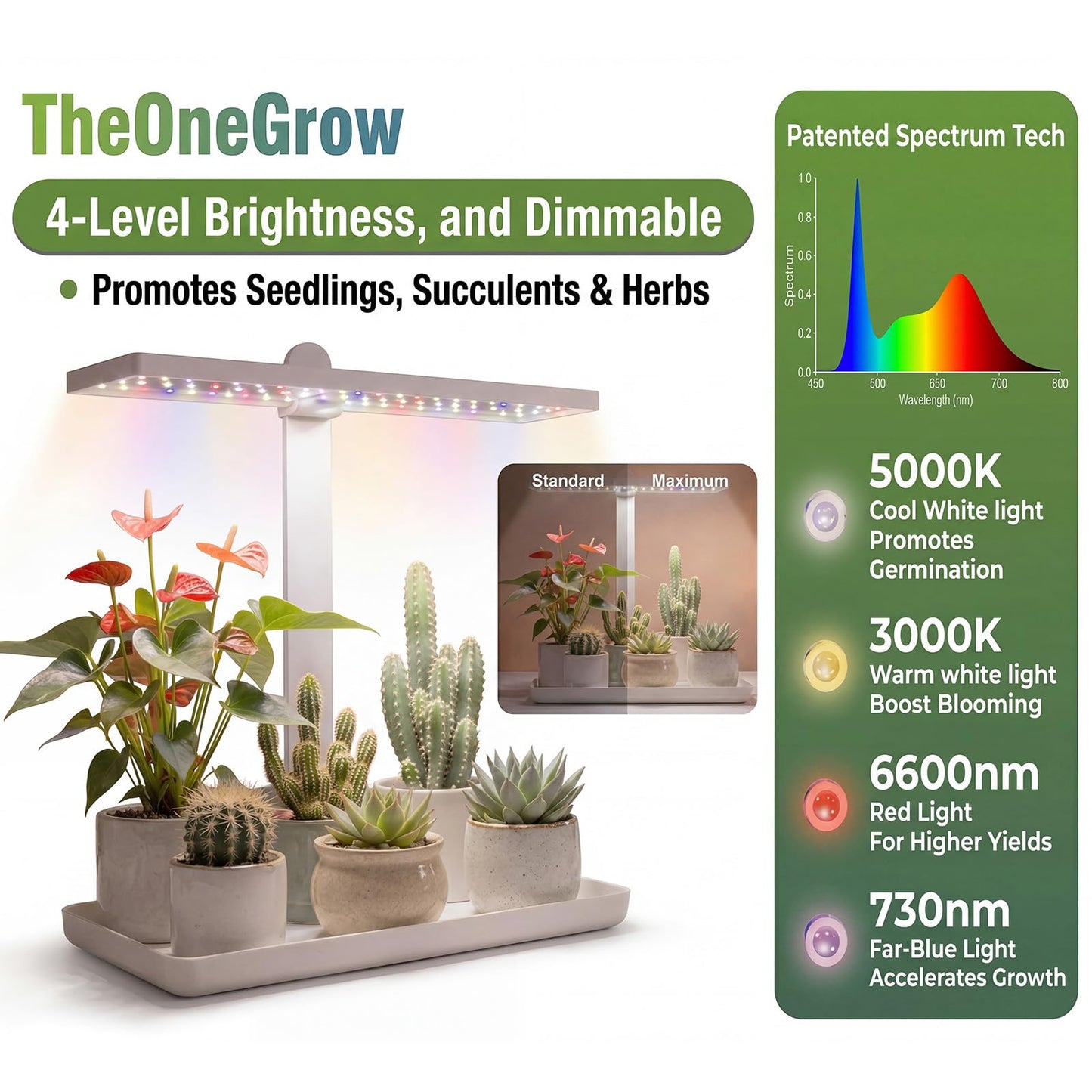 Desk Grow Light with Tray, Small Full Spectrum Plant Light for Indoor Plants, Adjustable Height Tabletop Grow Lamp for Succulents, Bonsai, Seedlings & Herbs, Auto 3/9/12H Timer, 4 Dimmable Levels