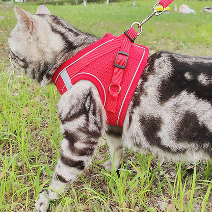 Puppy Harness and Leash Set, Escape Proof Dog Cat Vest Harness for Cats Small Medium Dogs, Adjustable Reflective Step in Harness,Soft Mesh Comfort Fit No Pull No Choke (Medium(13.7"-15.7"), Red)