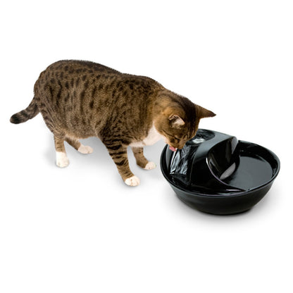 Pioneer Pet Raindrop Ceramic Drinking Fountain for Pets, White