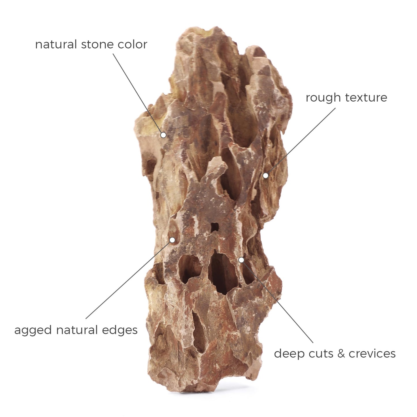 FISCAPE 10 Natural Aquarium Rocks 2" to 4" Perfect Rocks for Aquariums, Landscaping Model,Tank Decoration, Amphibian Enclosures-Dragon Stones