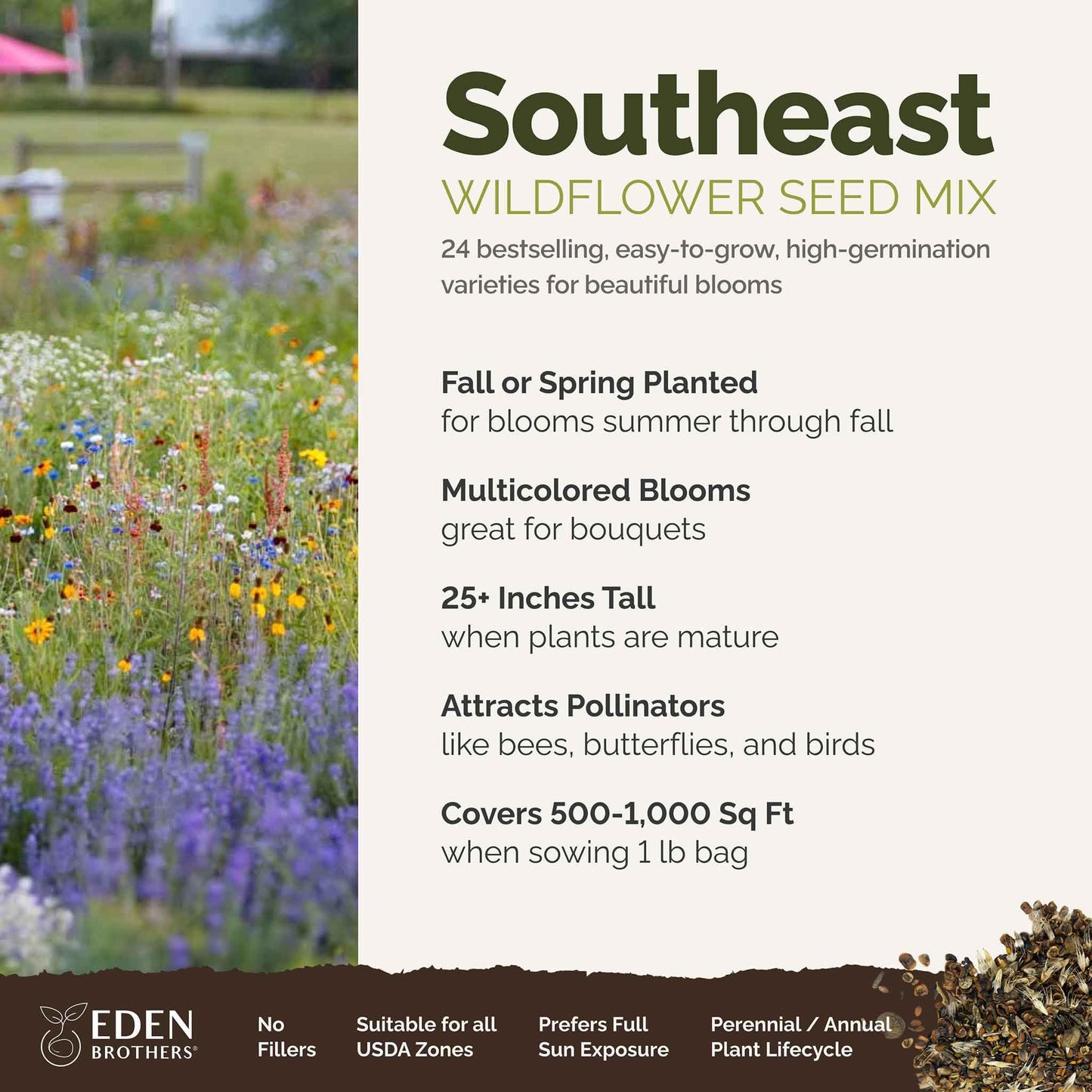 Eden Brothers Southeast Wildflower Mixed Seeds for Planting, 1 lb, 480,000+ Seeds with Cornflower, Blanket Flower | Attracts Pollinators, Plant in Spring or Fall, Zones 3, 4, 5, 6, 7, 8, 9, 10