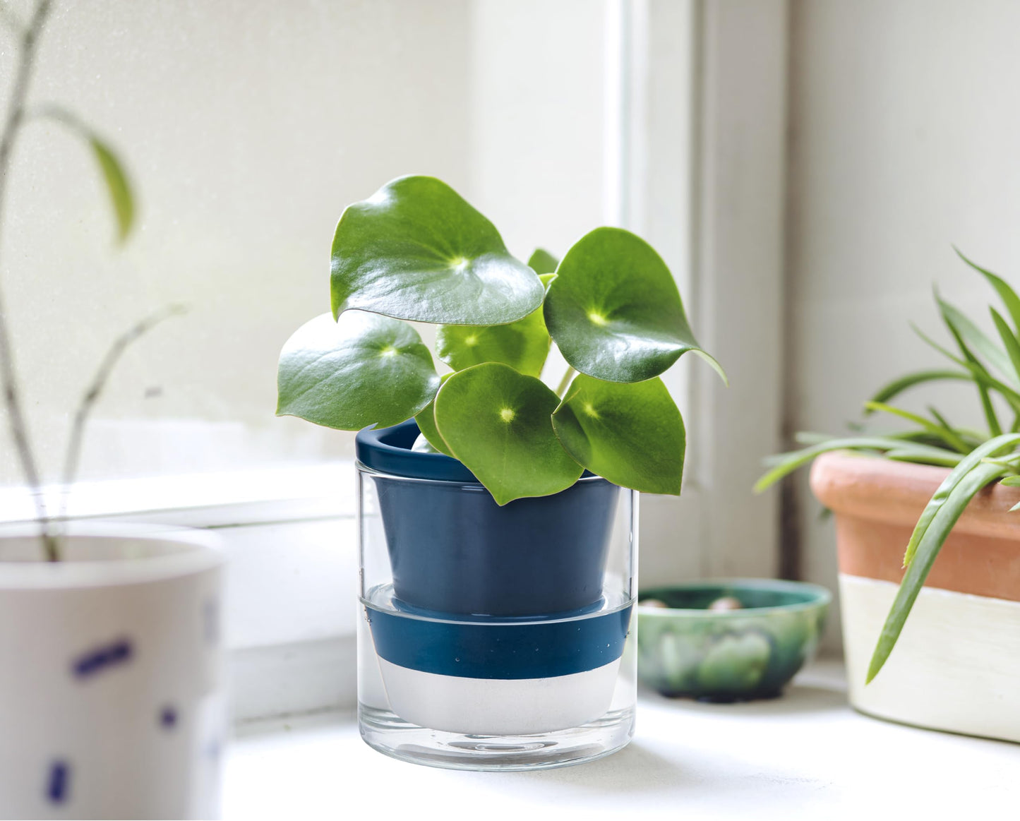 D'vine Dev 4 Inch Design Self Watering Planter for Indoor Plants, Blue Terracotta Pot with Cylinder Glass Cup, 37-X-A-4