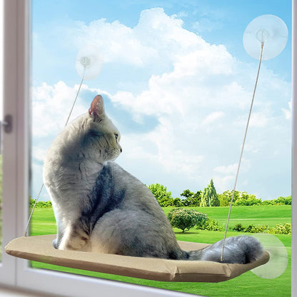 PETPAWJOY Cat Window Perch, Strong Suction Cups Easy Clean Safety Cat Hammock Window Seat for Large Fat Cat or Double Cats