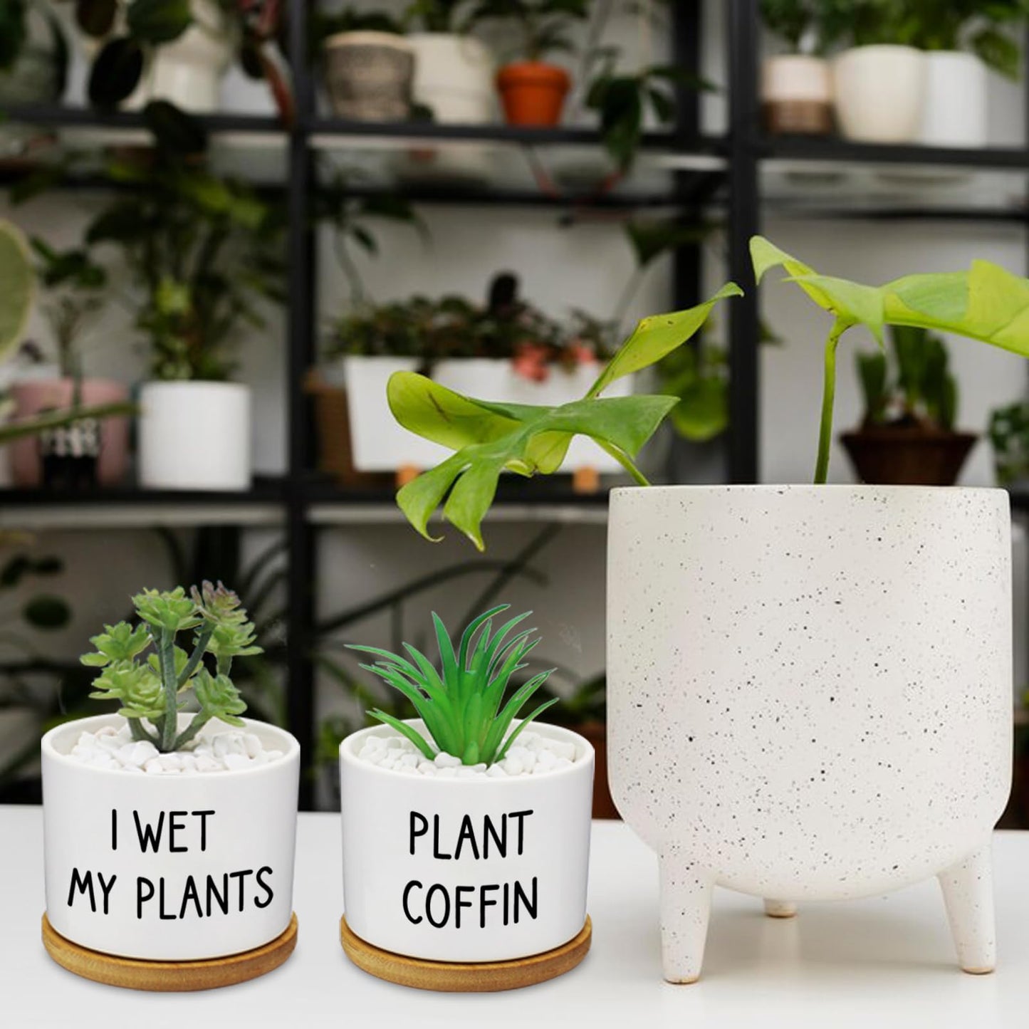 Rojuna 12 Pcs Funny Succulent Pots with Bamboo Tray White Ceramic Aloe Cactus Plant Pots Funny Plant Pots for Women Coworker Employee