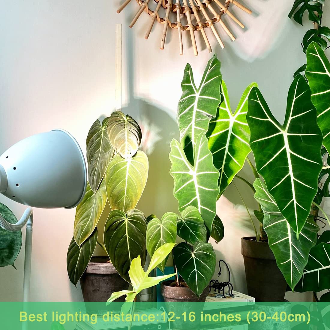 Grow Light Bulbs for Indoor Plants, Full Spectrum Grow Light Bulb, 11W LED Growing Plant Light Bulb for Seed Starting, Hydroponics, Vegetable, Flowers, Greenhouse, 100W Equivalent, A19, E26, Pack of 6