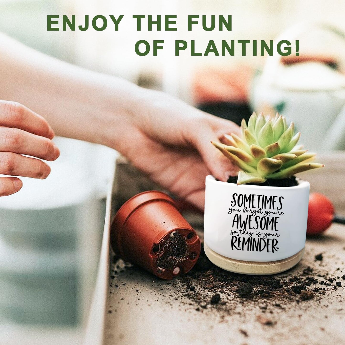 Aryabtya Cute Succulent Planter, Flower Cactus Plant Pot Gifts, Thank You Inspirational Gifts for Women Men Coworkers Teachers Plant Lovers, Office Home Windowsill Indoor Decor (No Plants)