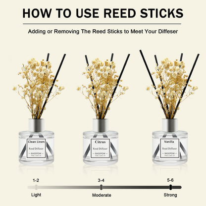 BASEPOW Reed Diffuser Set of 3 Pack,Clean Linen,Vanilla,Citrus Scented Oil Diffuser with 12 Sticks,Reed Diffuser for Home Living Room Office Bathroom Air Freshener,50ml x 3