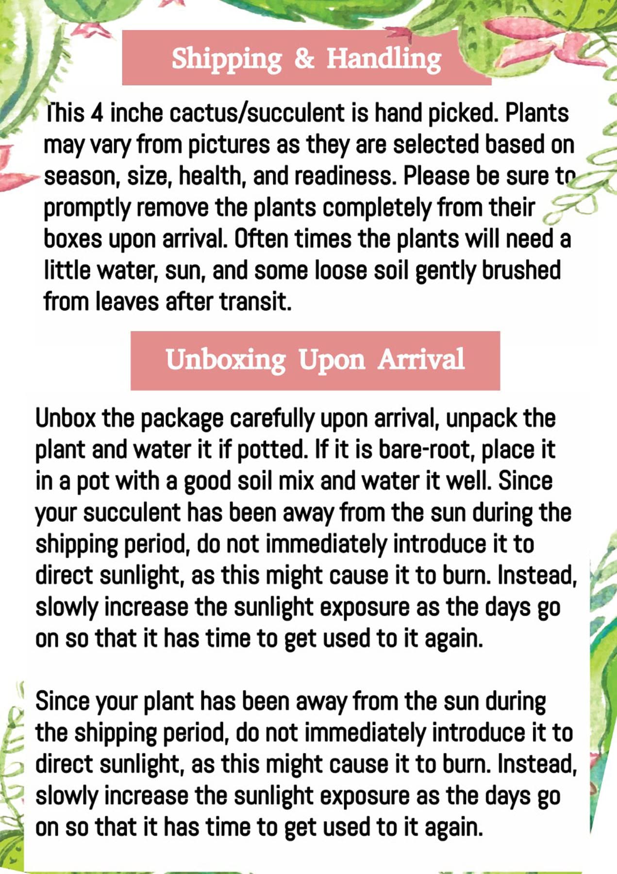 4" Live Plant Cactus Succulent-Haworthia Zebra, Gasteria Hybrid Plant-Fully Rooted, Drought Tolerate, Easy to Grow Indoor/Outdoor.