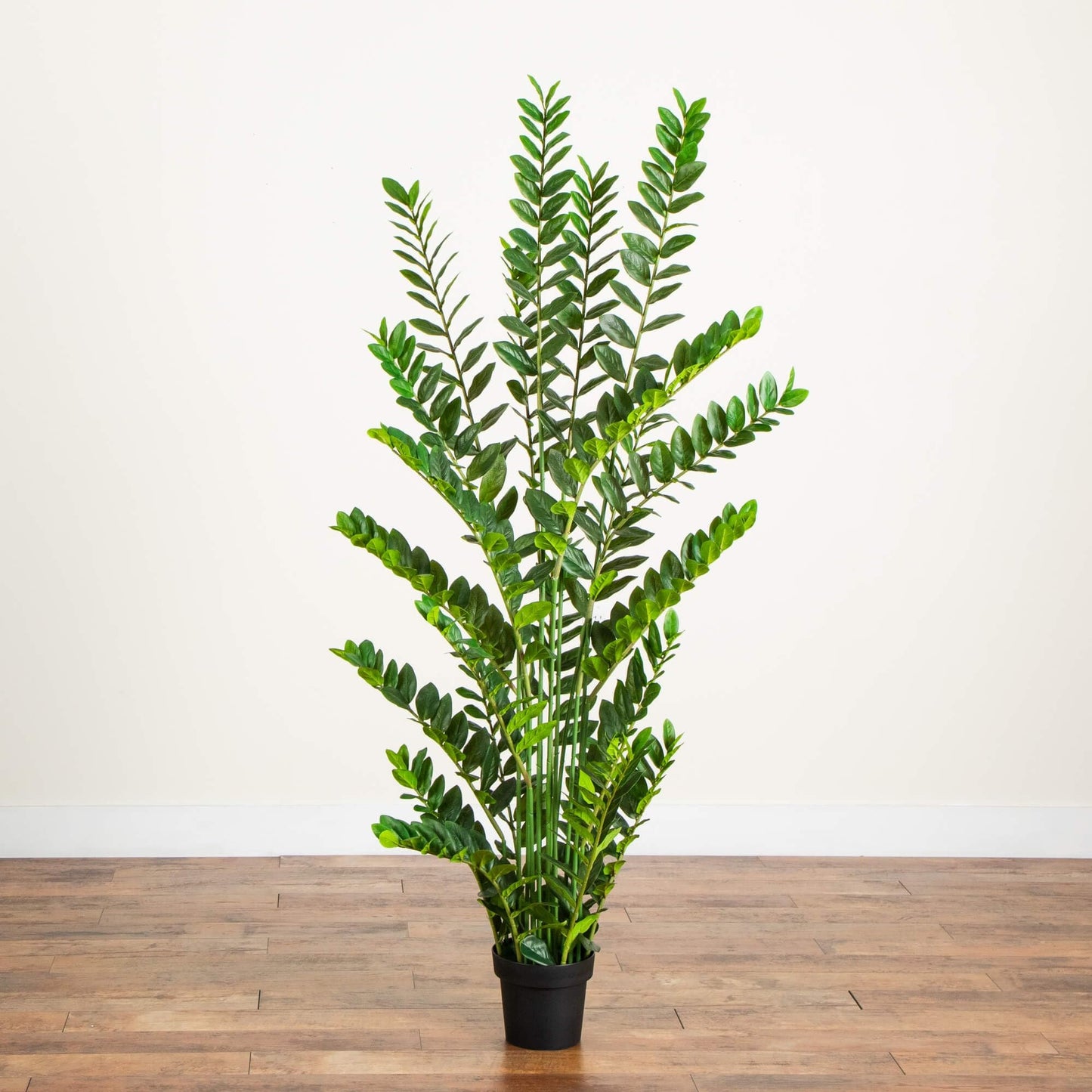 Nearly Natural 6ft Artificial Zamioculcas Plant - Realistic Faux Plant for Home Decor - Premium Materials - Bendable Branches - Year-Round Greenery - Nursery Planter Included