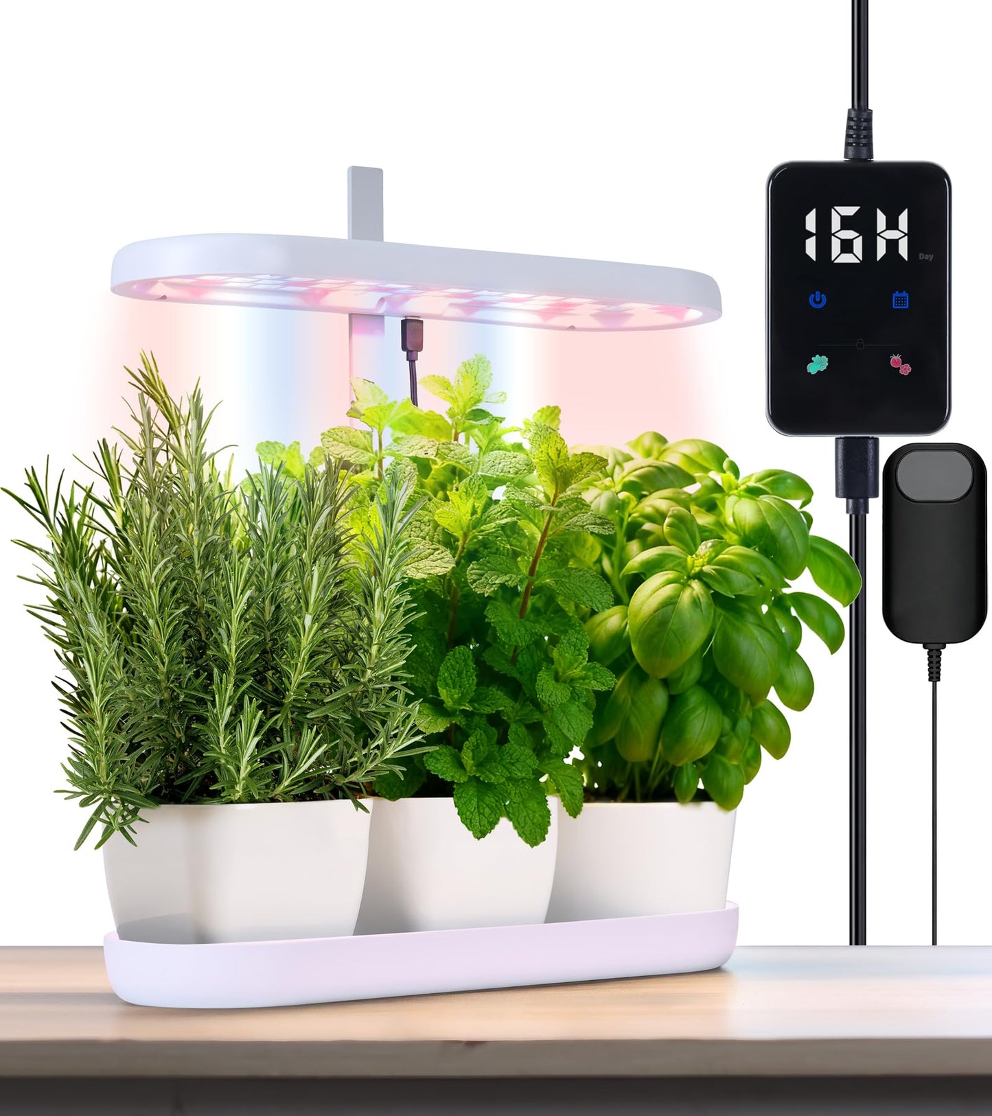 DRYADES Grow Lights for Indoor Plants, 20W Full Spectrum LED Grow Lamp for Indoor Garden with Intelligent Controller, Height Adjustable, Ideal for Home Desk Plant Lighting (White, ABS Base)