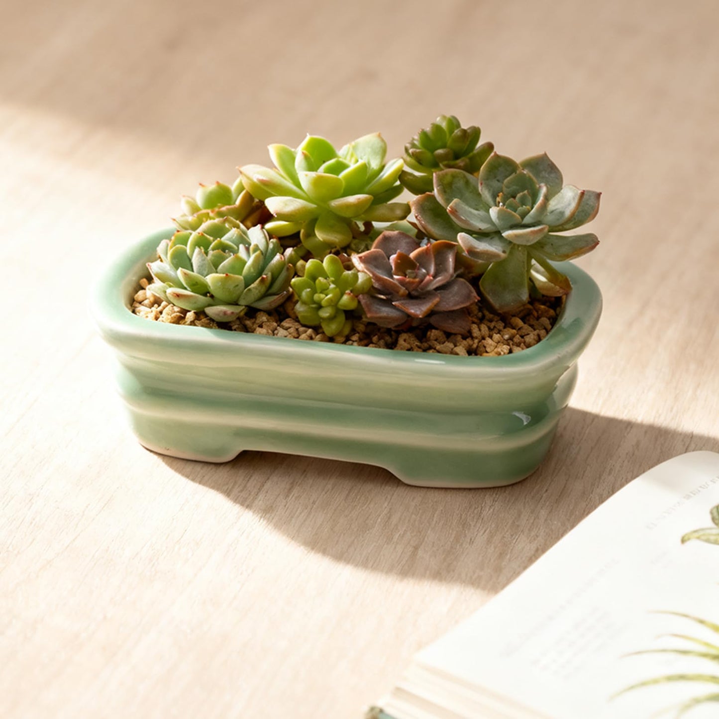 KyoYi Bonsai Pots & Small Ceramic Planters, Set of 5 with Drainage - 5 Inch Shallow Indoor Pots for Succulents, Bonsai, House Plants, Vintage Red and White Glazed Flower Pots, Plant Lover Gift