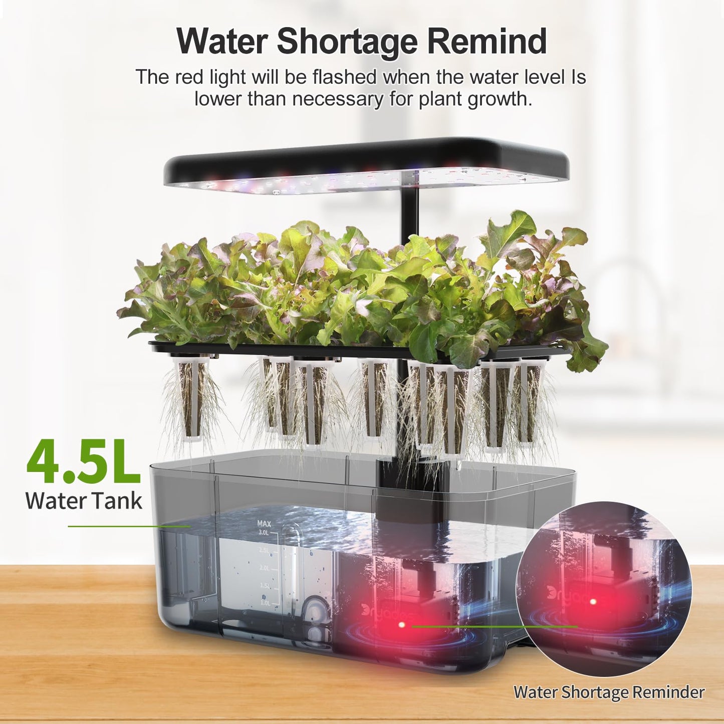 DRYADES 8-Pod Hydroponics Growing System Translucent Indoor Herb Garden with LED Grow Light Smart Quiet Pump Plant Germination Kit for Hydroponic Herbs, Vegetables, Lettuce Harvest on Countertop