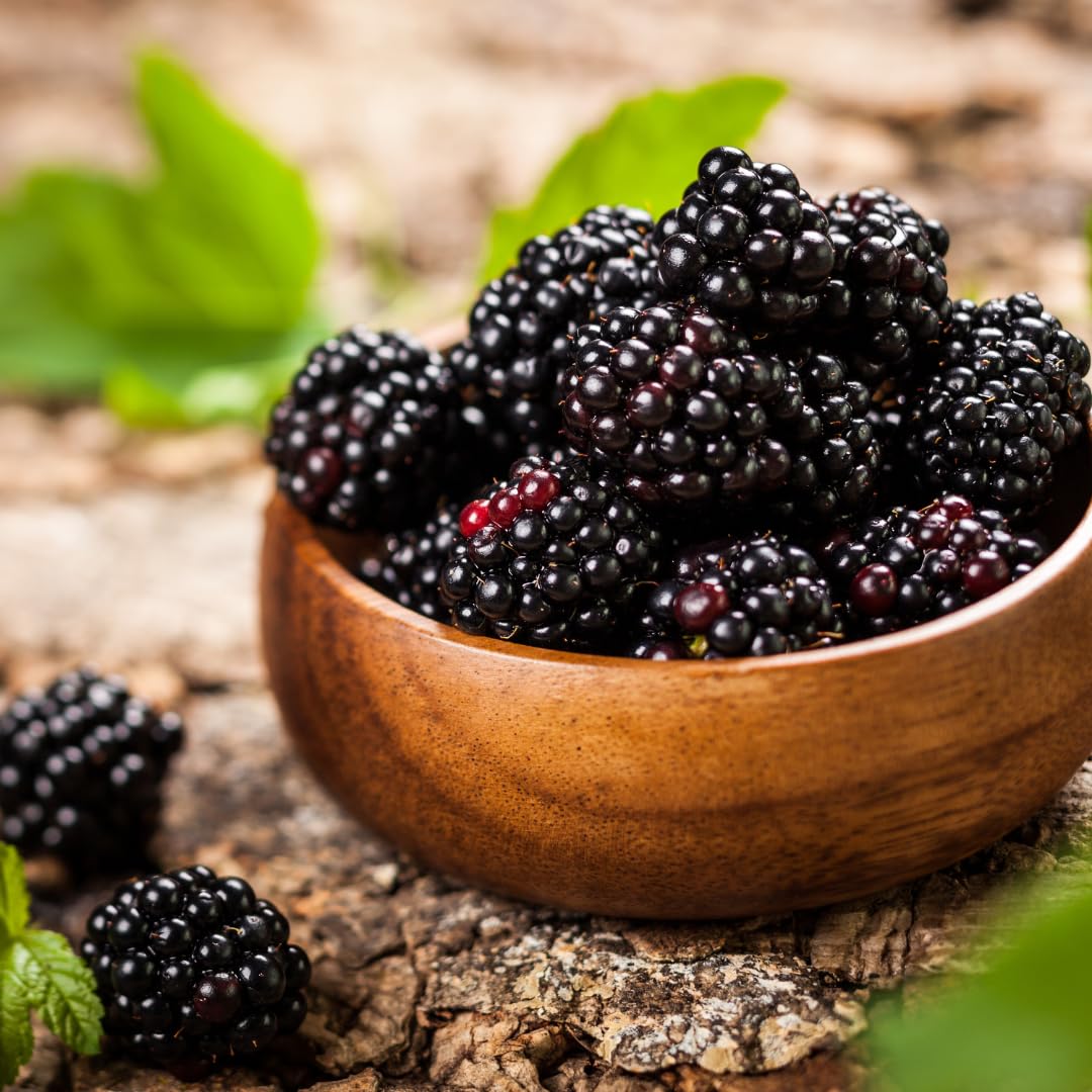 Blackberry Plant Collection (4 Pack) Live Fruit Plants for Planting | 4 Different Varieties for a Continuous Harvest | Thornless & Thorny Mix| Large, Sweet & Juicy Berries |Perfect for Organic Gardens