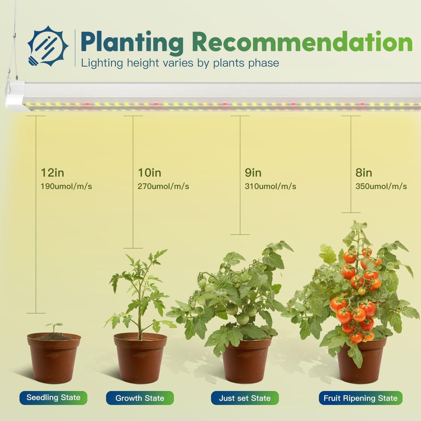 FREELICHT 2 Pack 4FT LED Grow Light with Timer, 40W (250W Equivalent), Full Spectrum Grow Lights for Indoor Plants with 9/12/15H Timer, Linkable Plant Growing Lamp for Hydroponic Plants Seeding Veg