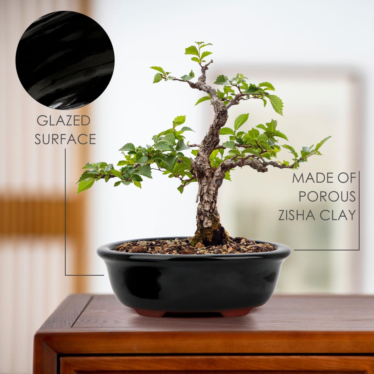 Set of 2 Zisha Ceramic Bonsai Pot, Glazed Shallow Succulent Planter Black
