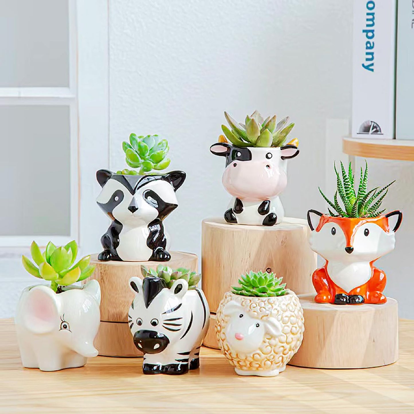 Melphoe 6Pcs Air Plant Holders Cartoon Shaped Small Succulent Pot Animal Planter Small Ceramic Pot Drainage for Mini Plant Cactus Flower, Tillandsia Air Fern, Display Stand Home, Office Desktop