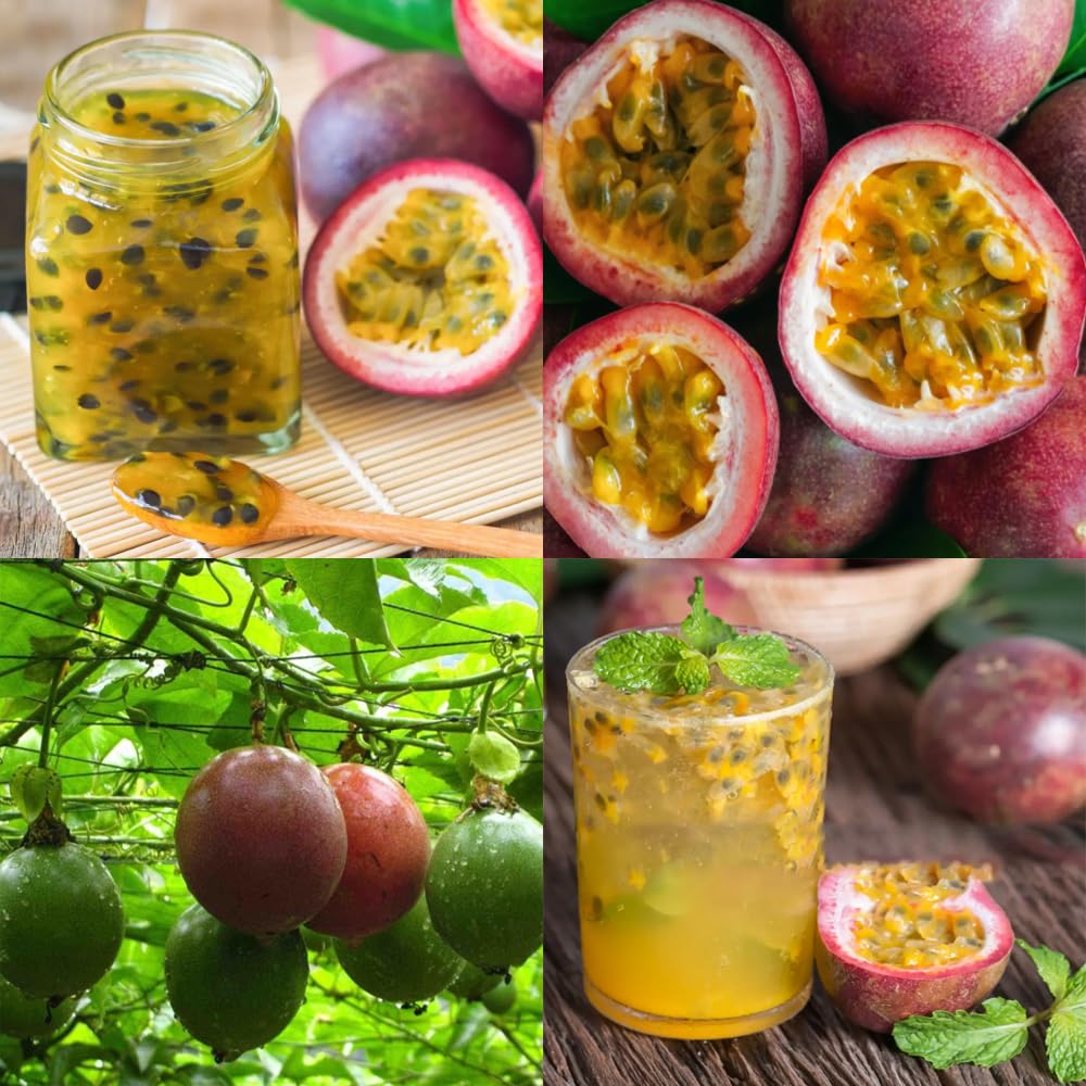 15+ Tropical Passion Fruit Seeds for Planting Outdoors-Non GMO Passiflora for Bonsai Backyard Country