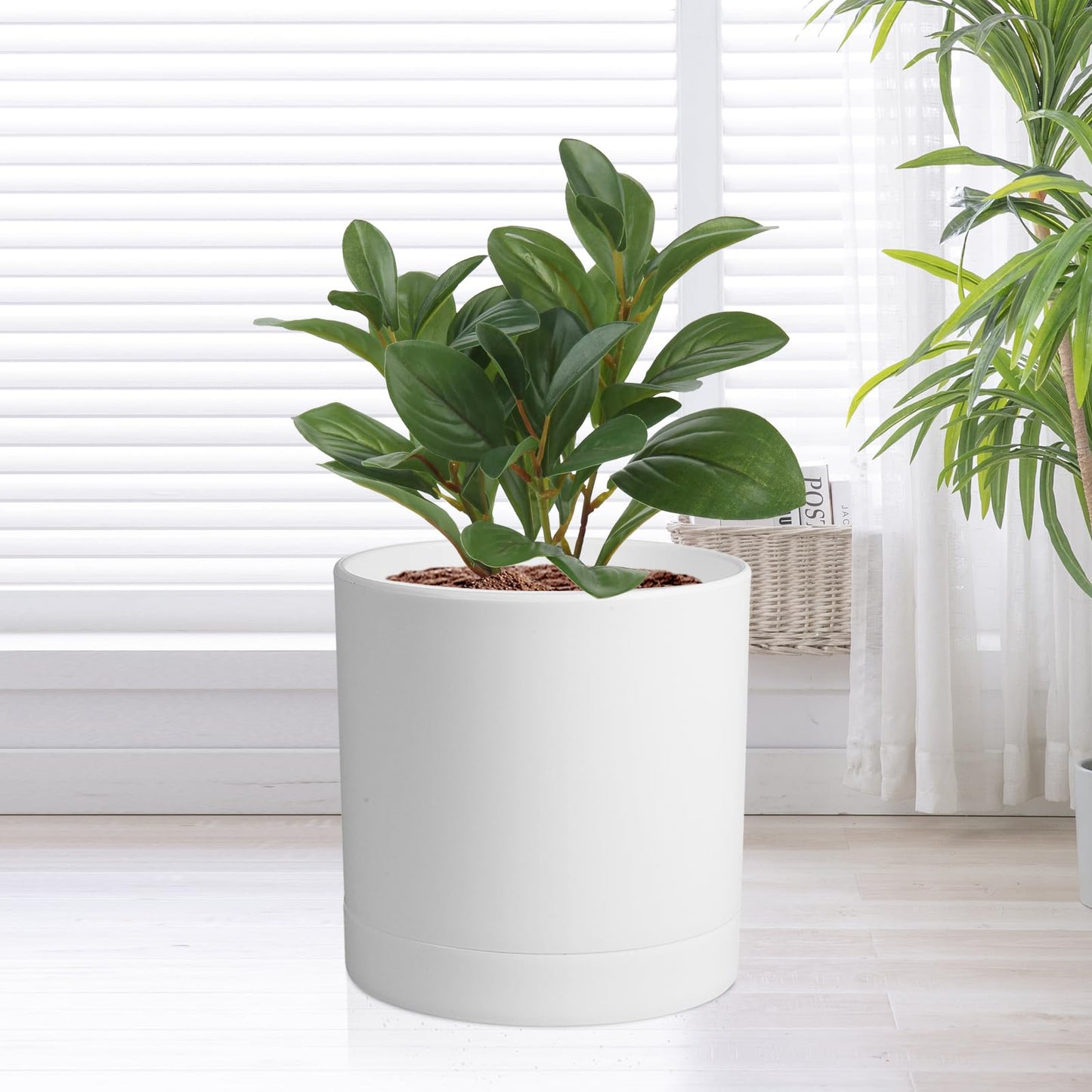 Meowell 6/5/4 inch Flower Pots, Pack of 3 Cylinder Plant Pots for Small Indoor Outdoor Plants, Plastic Planters with Drainage Holes and Saucers for Garden Succulent Nursery House Plants, White