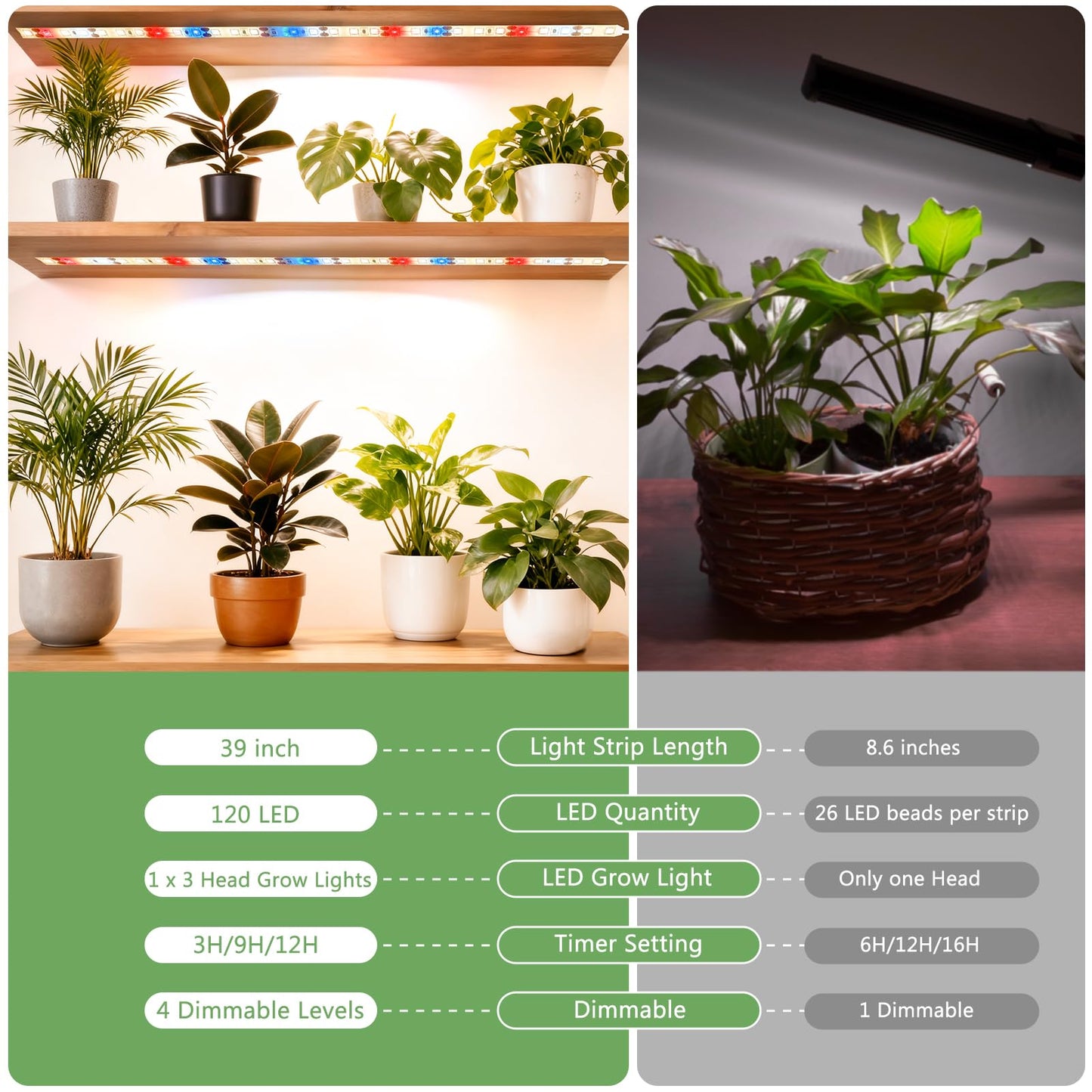 DBFAIRY Grow Strip Lights for Indoor Plants,Waterproof LED Full Spectrum Plant Grow Light Strip Plug-in Grow Tape Light with Timer Dimmable for Greenhouse Seed Starting (3.28FT/ 120 LED)