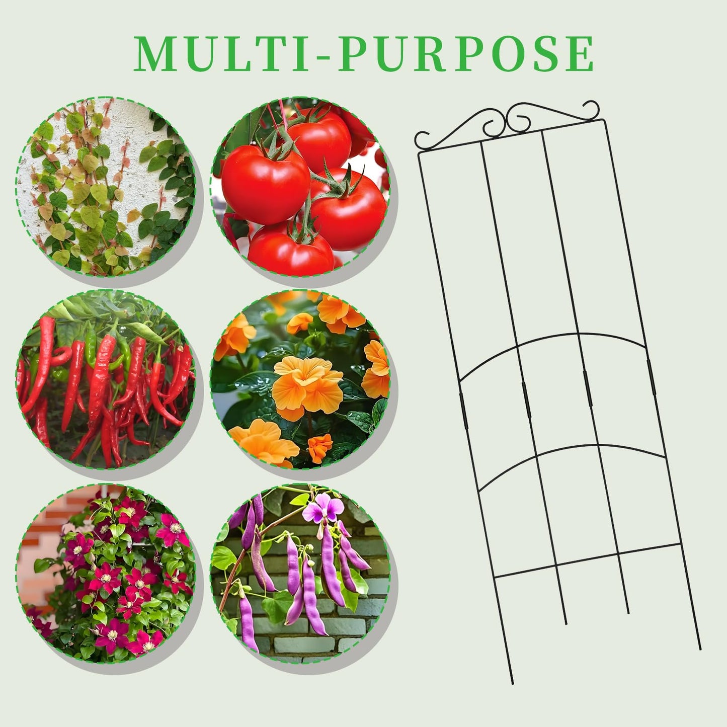 DYBEEDUAL 32 Inch Metal Plant Trellis for Climbing Plants Outdoor，4 Pack Garden Trellis for Potted Climbing Plants Indoor Houseplants Flowers Vine Ivy,Black,Rectangle