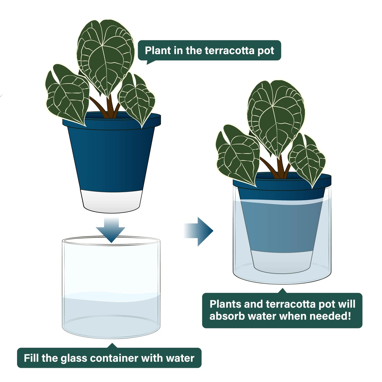 D'vine Dev 6 Inch Design Self Watering Planter for Indoor Plants, Blue Terracotta Pot with Cylinder Glass Cup, Set of 2, 37-Y-B-4