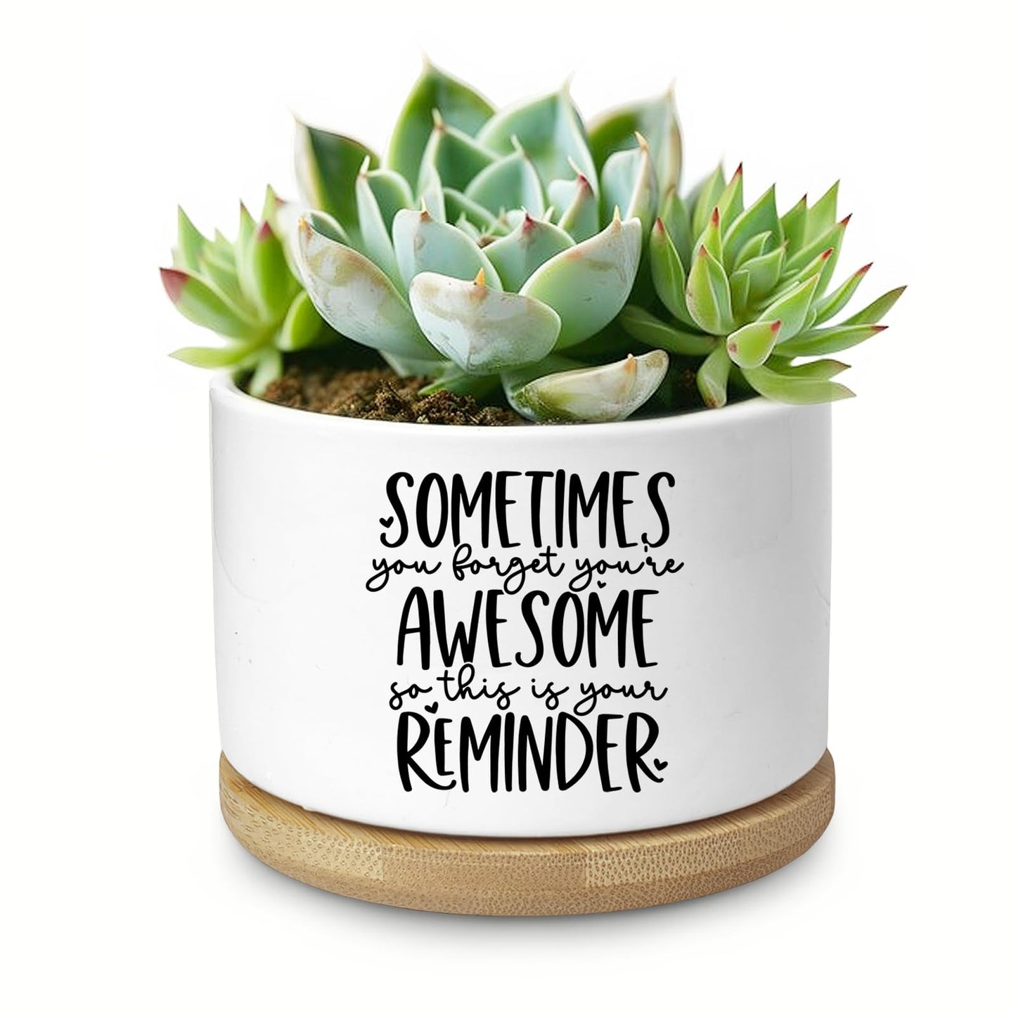 Aryabtya Cute Succulent Planter, Flower Cactus Plant Pot Gifts, Thank You Inspirational Gifts for Women Men Coworkers Teachers Plant Lovers, Office Home Windowsill Indoor Decor (No Plants)