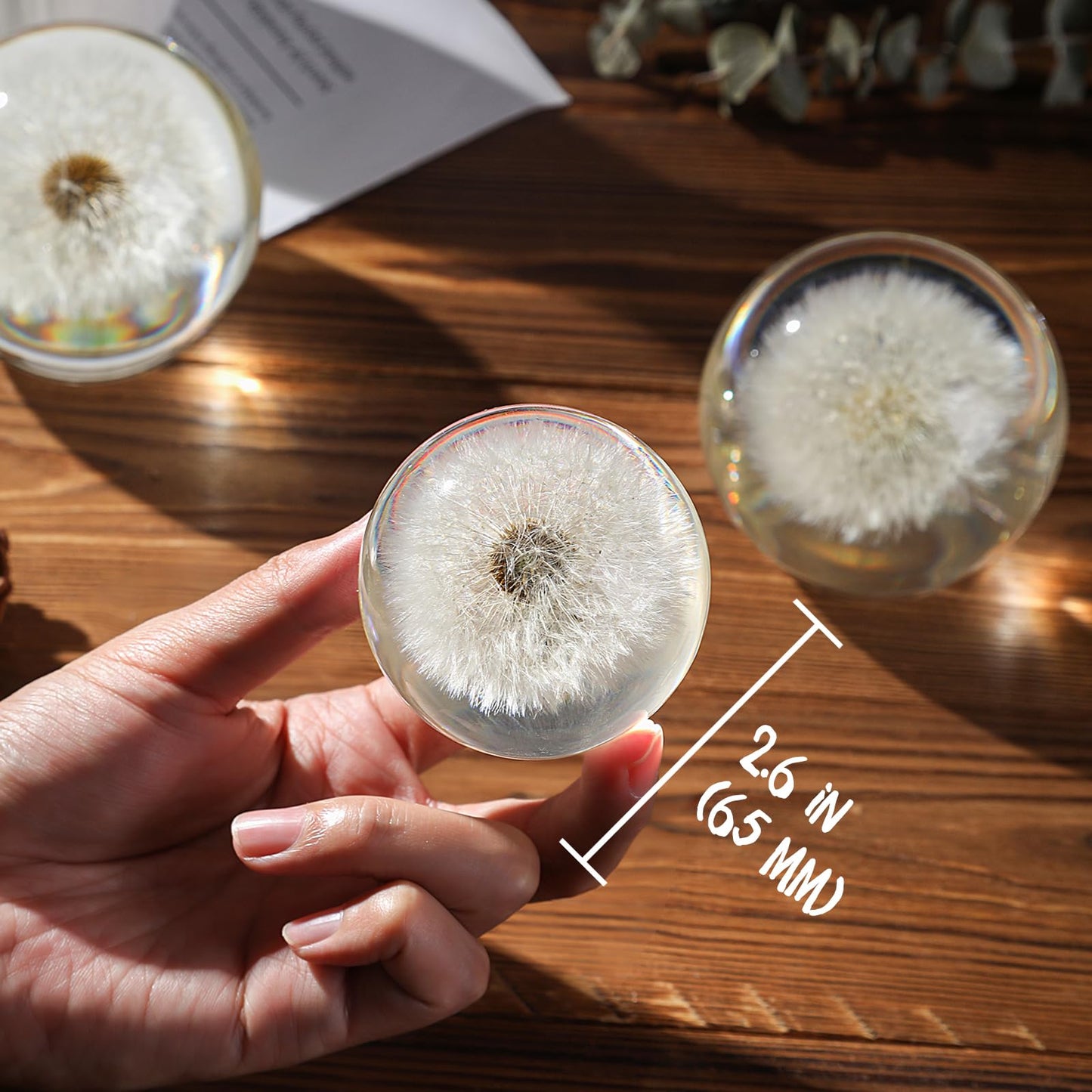 1st Heaven Dandelion Paperweight in Crystal – Real Preserved Dandelion, Symbol of Hope, Luck, or New Beginnings – Elegant Gift with Gift Box & Card (2.6 in)