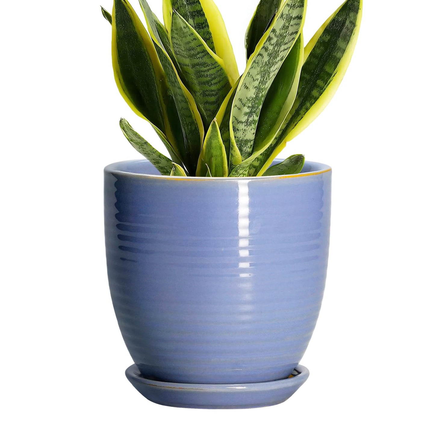 EPFamily 6 Inch Ceramic Pots for Plants - Ceramic Plant Pots with Drainage Hole and Saucer, Flower Pot for Indoor Plants, Round Modern Planter, Apartment Decor, Housewarming Gifts, Blue-Purple
