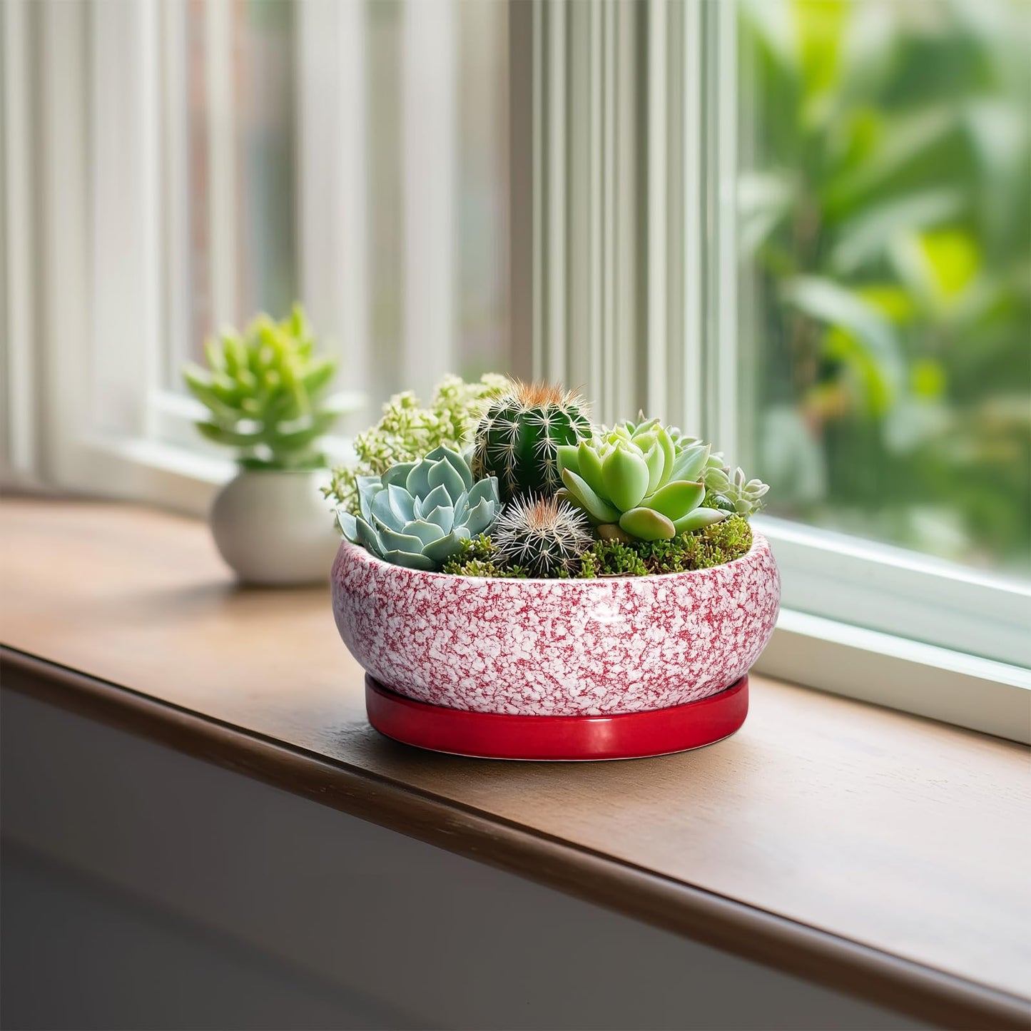 EPFamily Bonsai Pots Small - 6 Inch Ceramic Succulent Pots with Drainage Hole and Ceramic Saucer, Succulent Planters Indoor Outdoor, Shallow Round Planter, Apartment Decor, Housewarming Gifts, Red