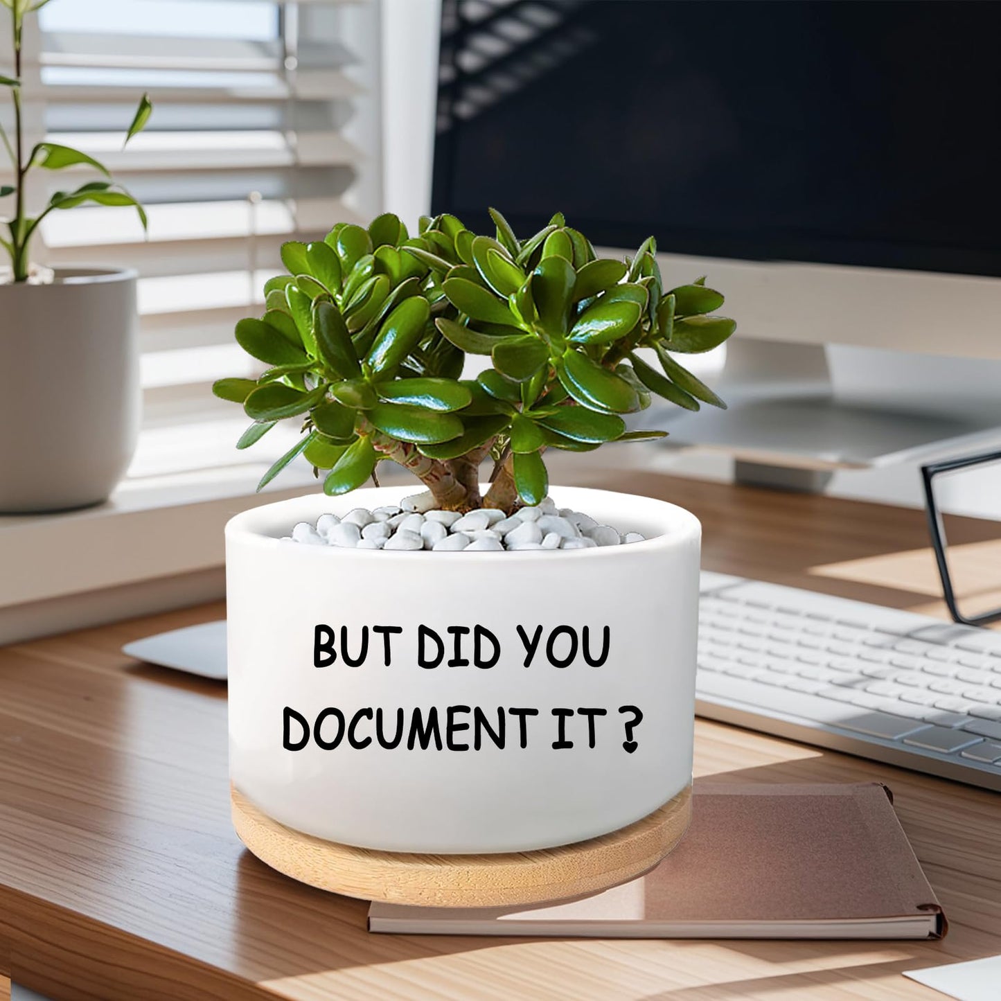 Office Desk Shelf Decor, Succulent Plant Pot, Ceramic Flower Cactus Planter Office Accessories Gifts for Coworker Employee Colleague Women Men Friend, But Did You Document It (Plants Not Included)
