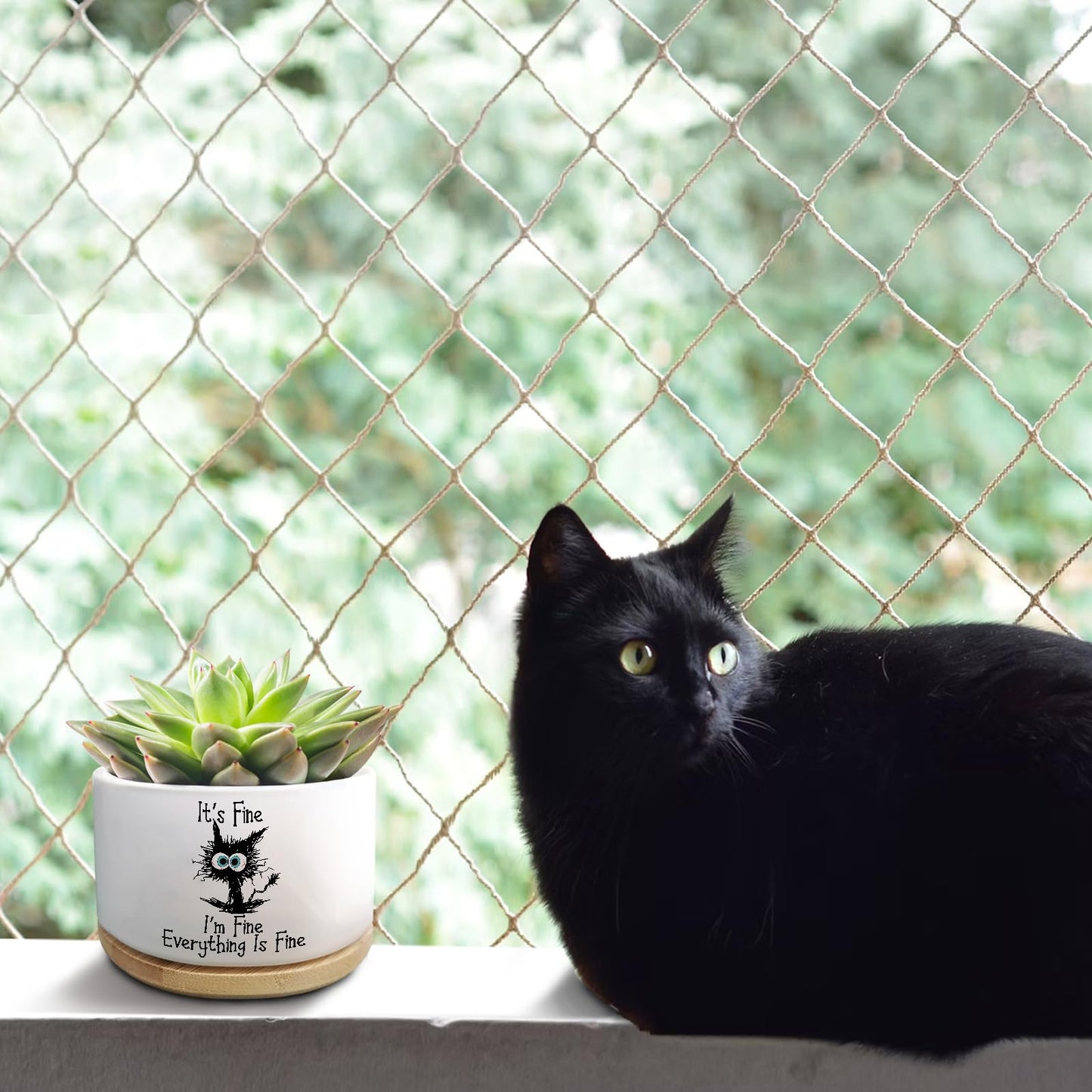 Jutasty Funny Cat Plant Pot for Succulent, Cactus Flower Planter for Indoor Plants, Cute Succulents Pots with Inspirational Quote, Windowsill Decor Planter Gift for Cats Owner Cat Lover (No Plants)